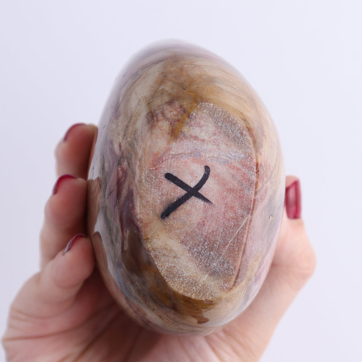 Petrified Wood Freeforms Set of 2 | Mi Esperanza Minerals | Supplier of Crystals and Onyx