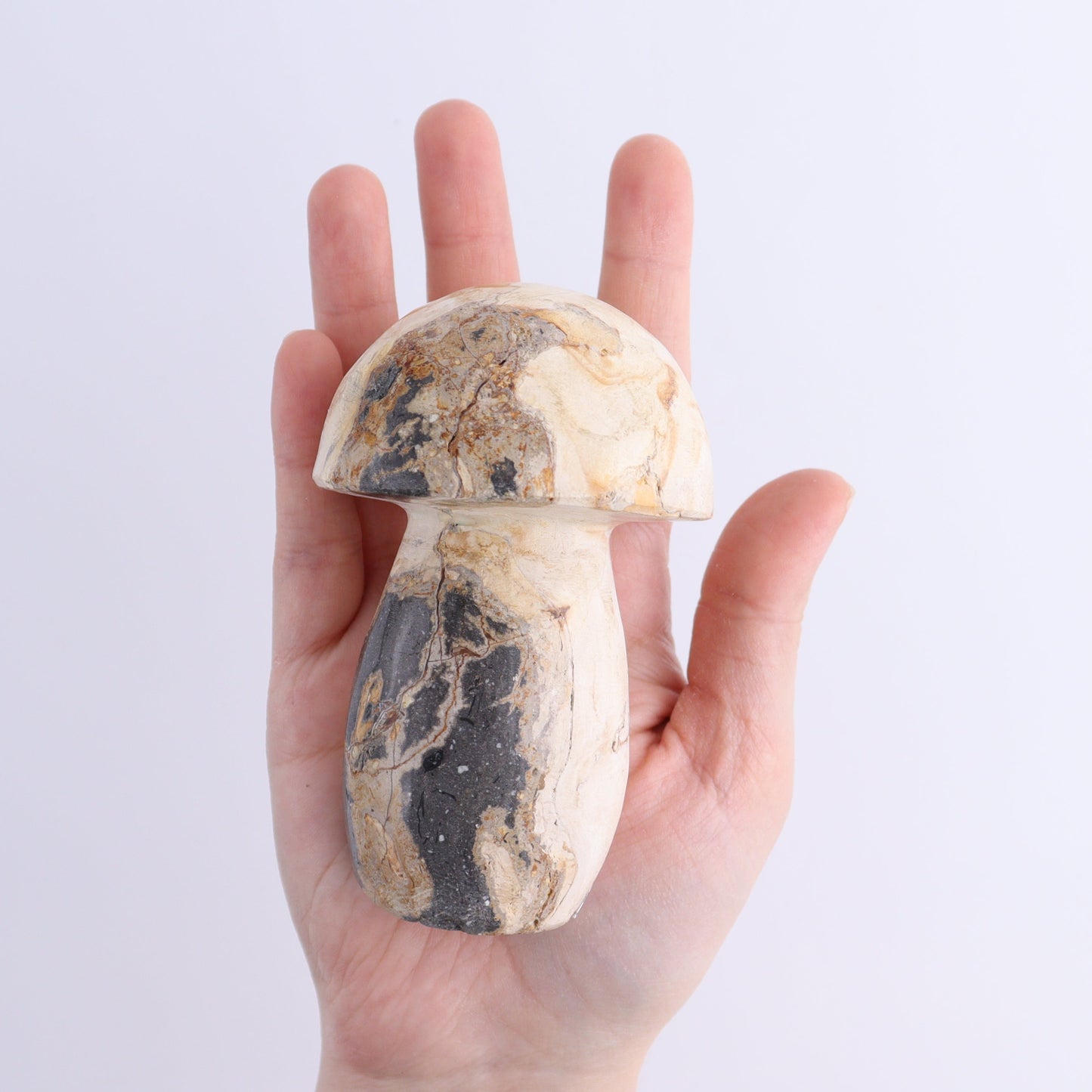 Petrified Wood Mushrooms Set of 4 | Mi Esperanza Minerals | Supplier of Crystals and Onyx