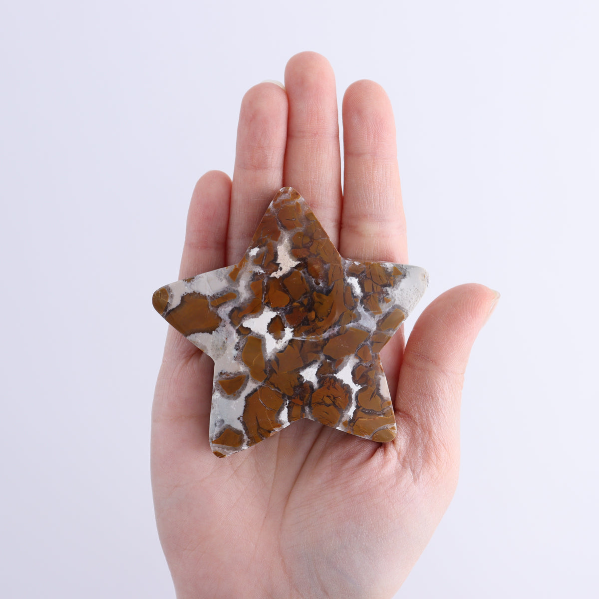 Brecciated Jasper Stars Set of 11 | Mi Esperanza Minerals | Supplier of Crystals and Onyx