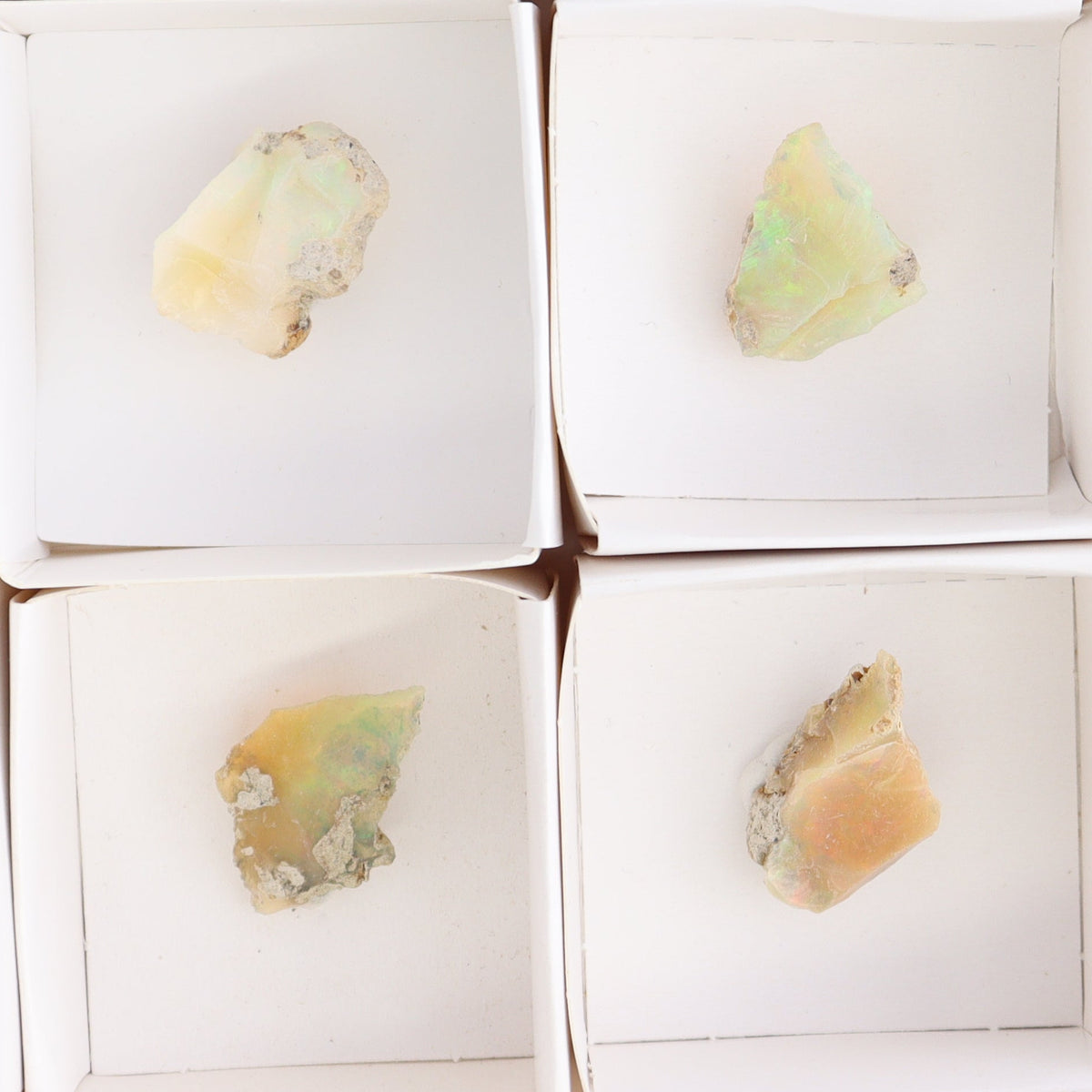 Ethiopian Opal Set of 10 | Mi Esperanza Minerals | Supplier of Crystals and Onyx
