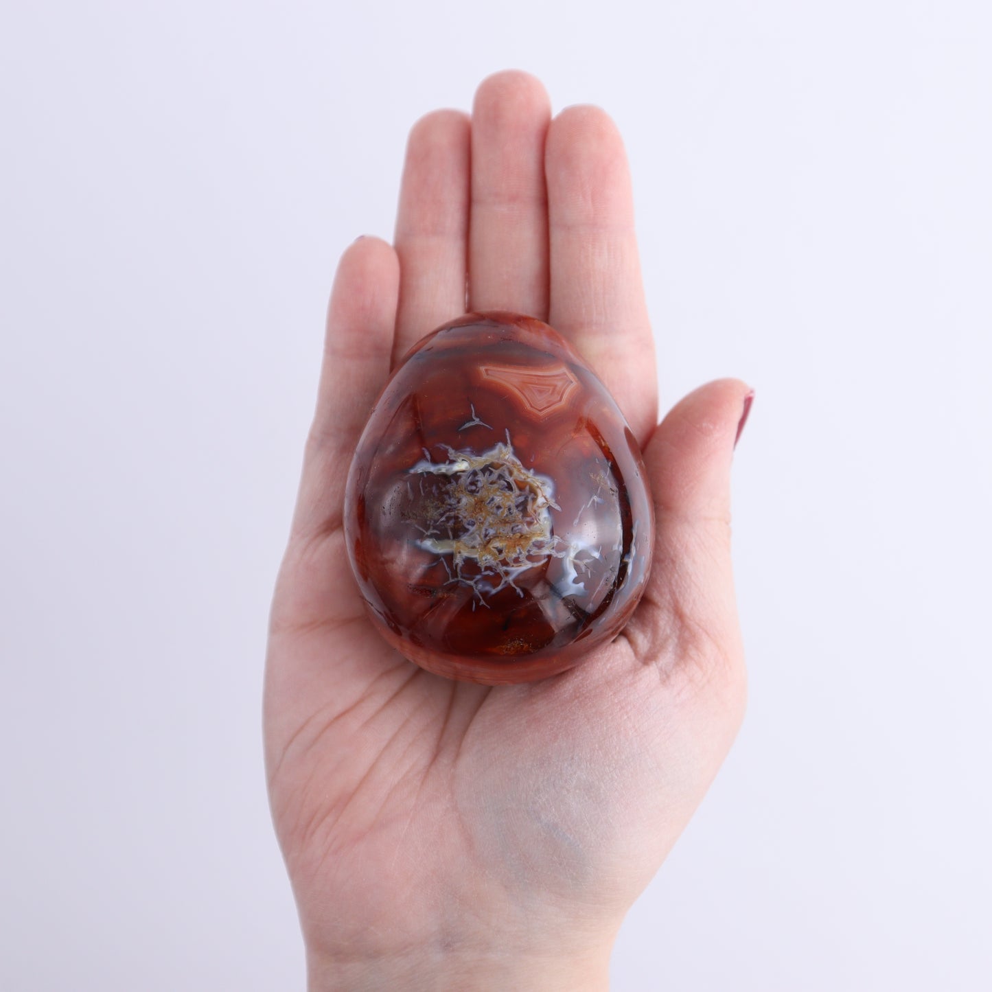 Carnelian Eggs Set of 12 | Mi Esperanza Minerals | Supplier of Crystals and Onyx