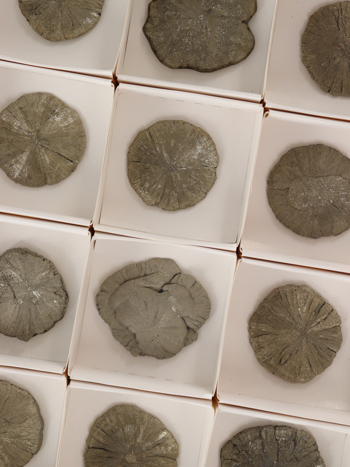 Pyrite Slices and Slabs Set of 12 - wholesale crystals