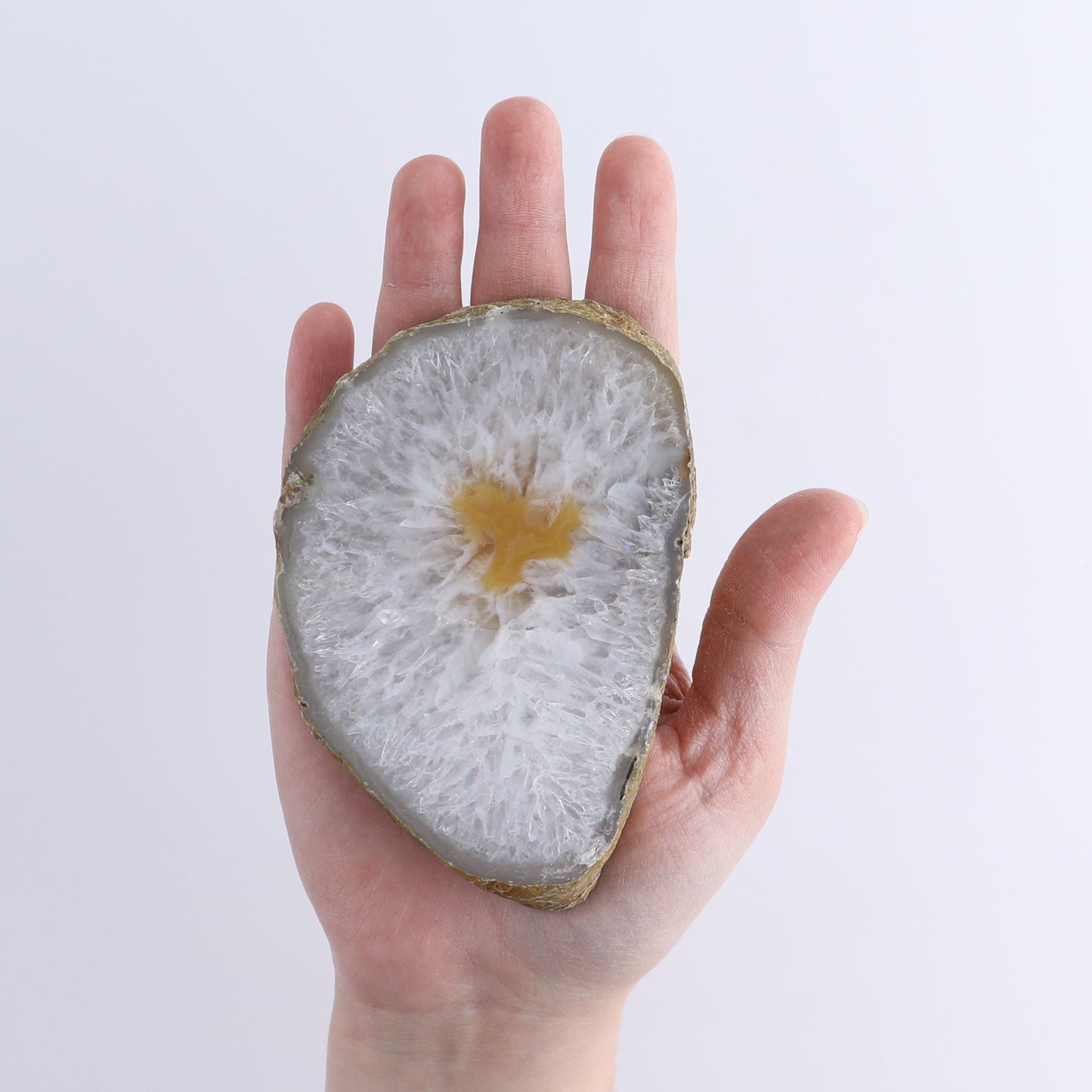 Agate Slices Set of 7 | Mi Esperanza Minerals | Supplier of Crystals and Onyx