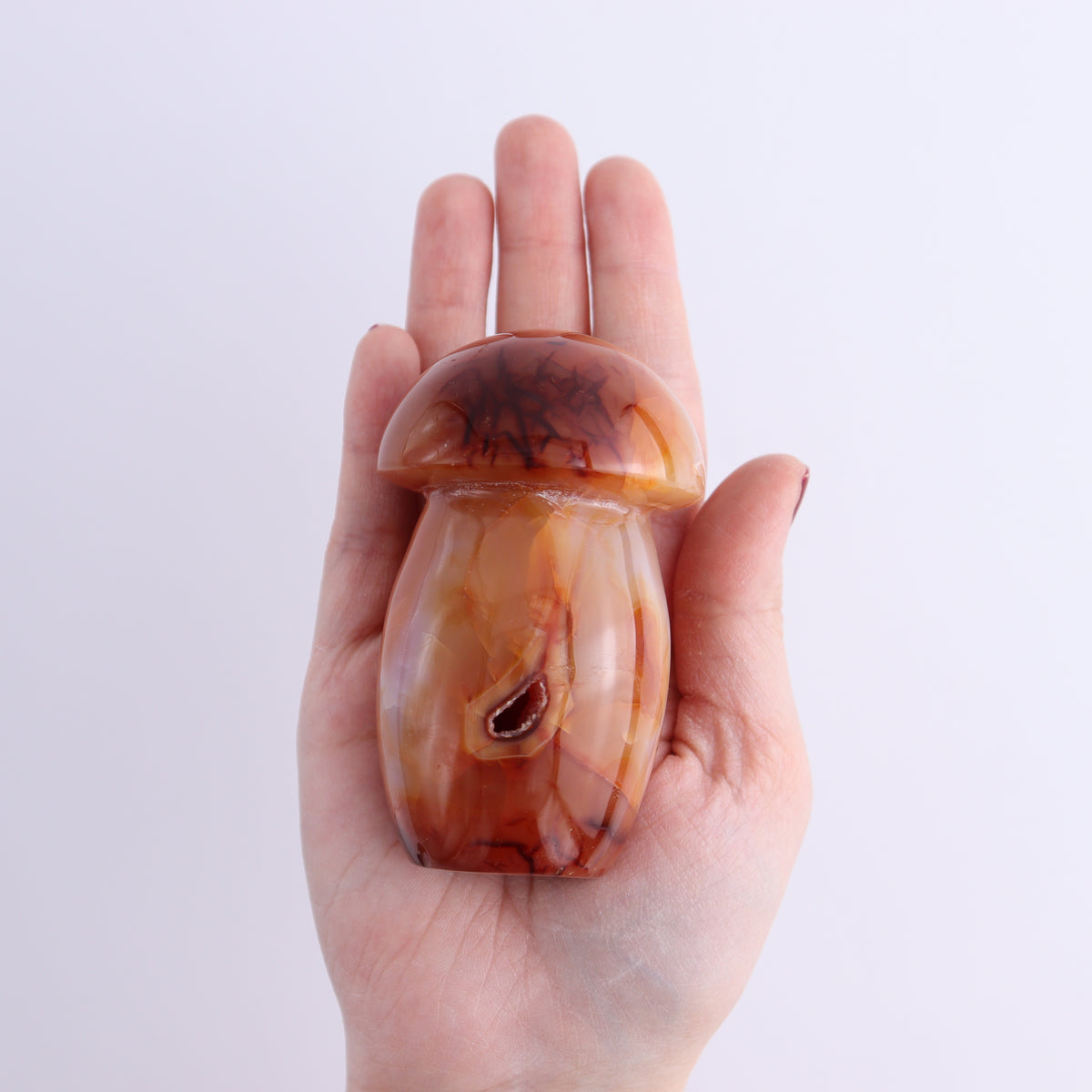 Carnelian Mushrooms Set of 9 | Mi Esperanza Minerals | Supplier of Crystals and Onyx