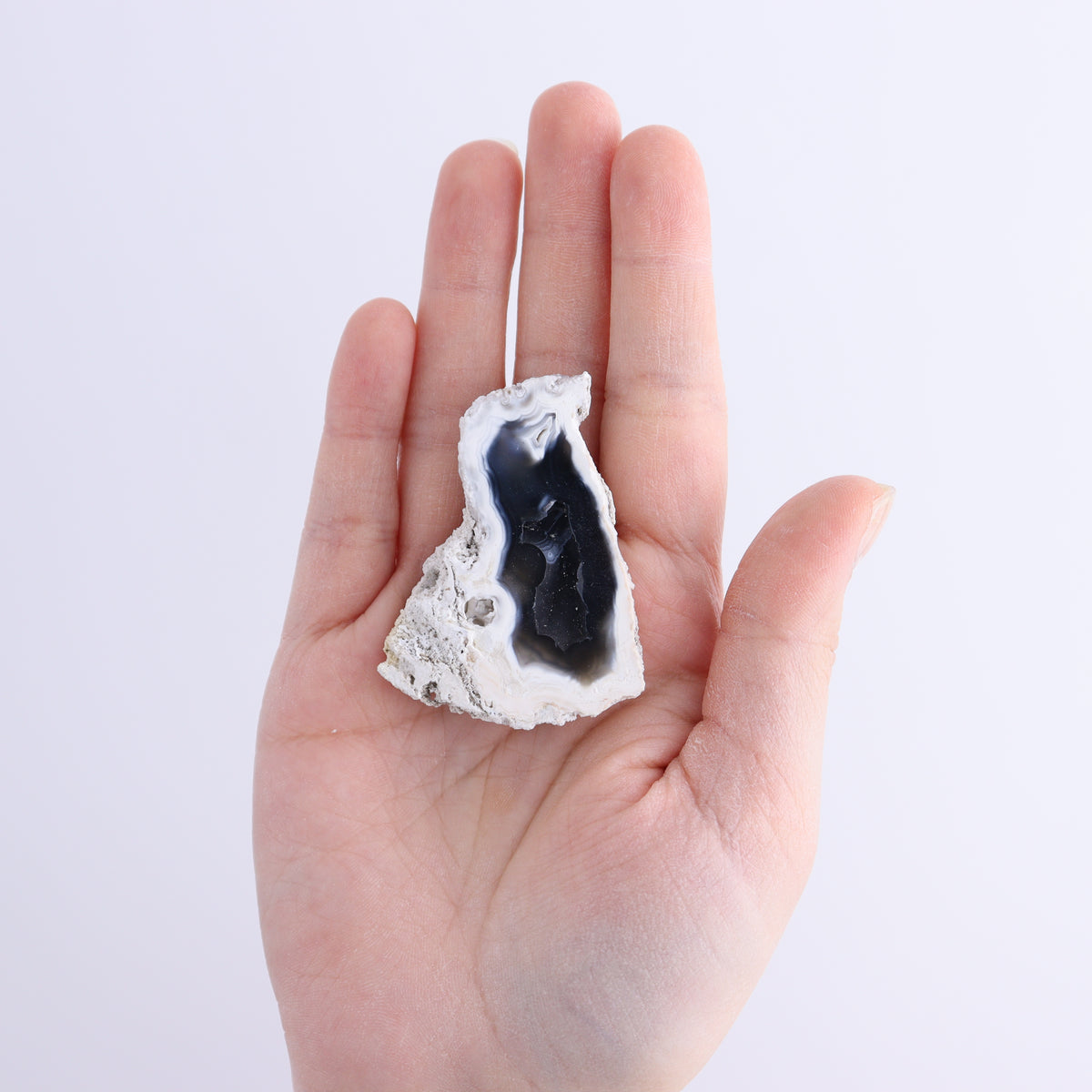 Agatized Coral Flat | Mi Esperanza Minerals | Supplier of Crystals and Onyx