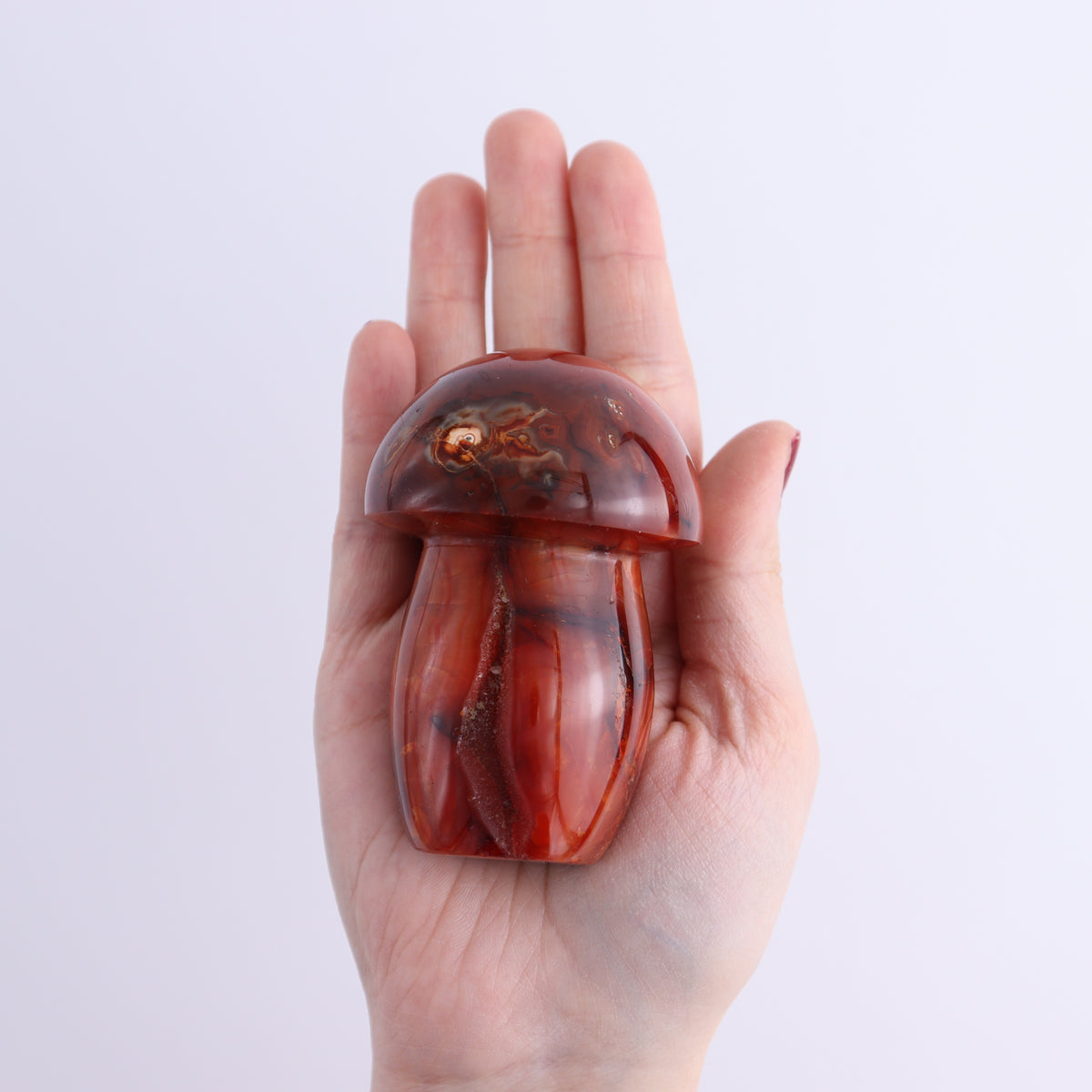 Carnelian Mushrooms Set of 10 | Mi Esperanza Minerals | Supplier of Crystals and Onyx