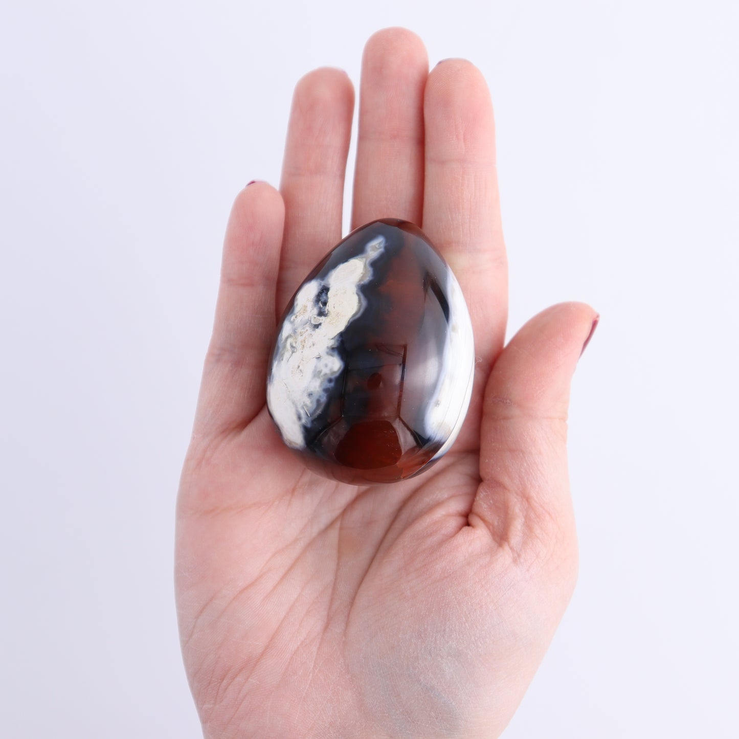 Carnelian Eggs Set of 12 | Mi Esperanza Minerals | Supplier of Crystals and Onyx