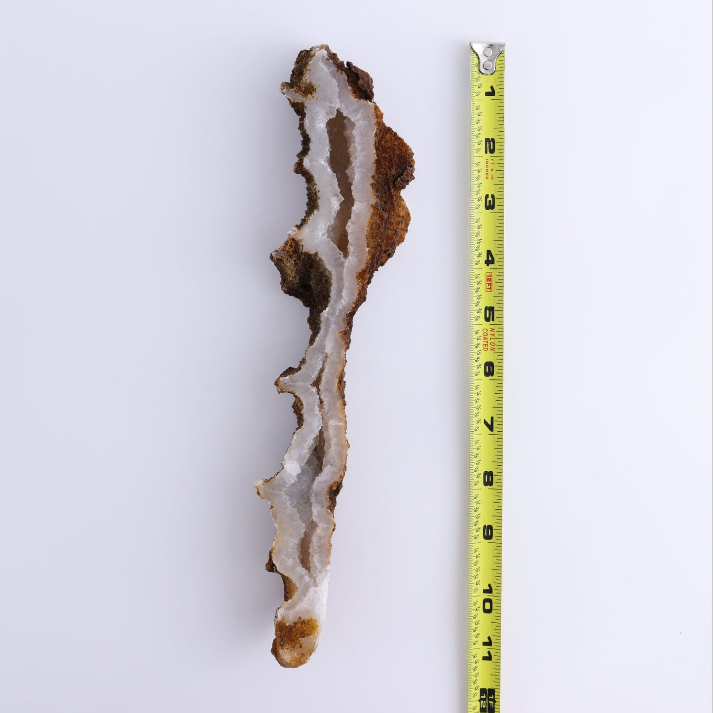 Agatized Coral Flat | Mi Esperanza Minerals | Supplier of Crystals and Onyx
