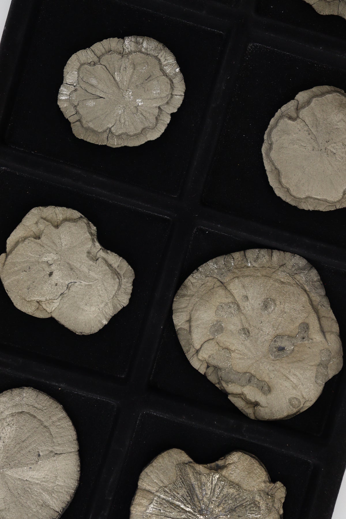 Pyrite Slices and Slabs - wholesale crystals