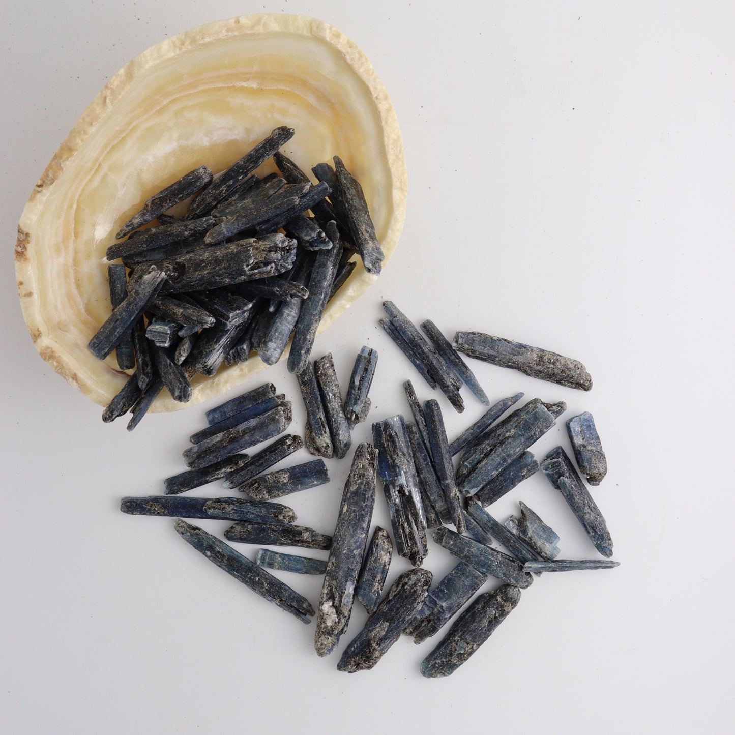 1 Kg Indigo Kyanite | Mi Esperanza Minerals | Supplier of Crystals and Onyx