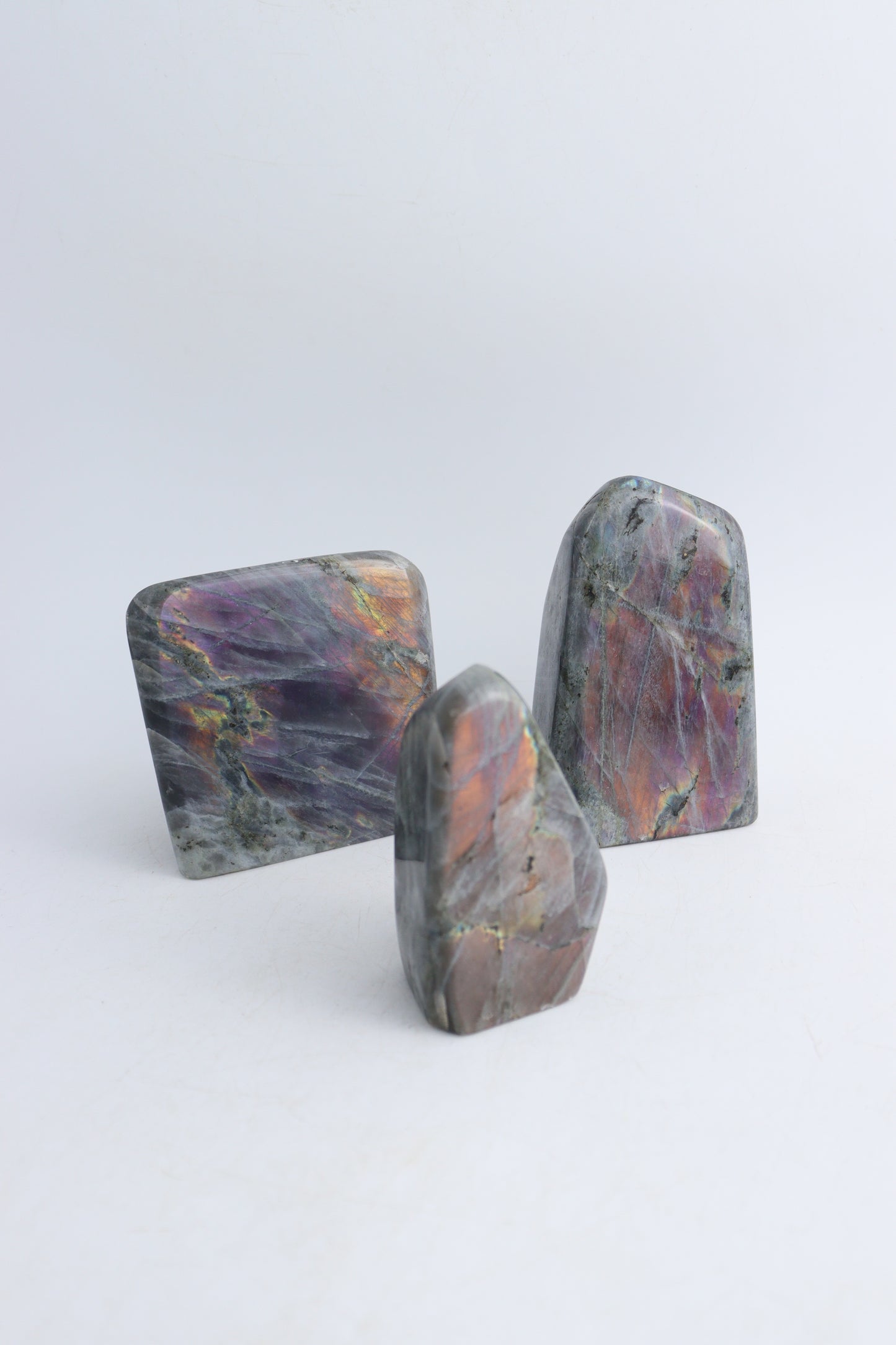 Labradorite Freeforms | Mi Esperanza Minerals | Supplier of Crystals and Onyx