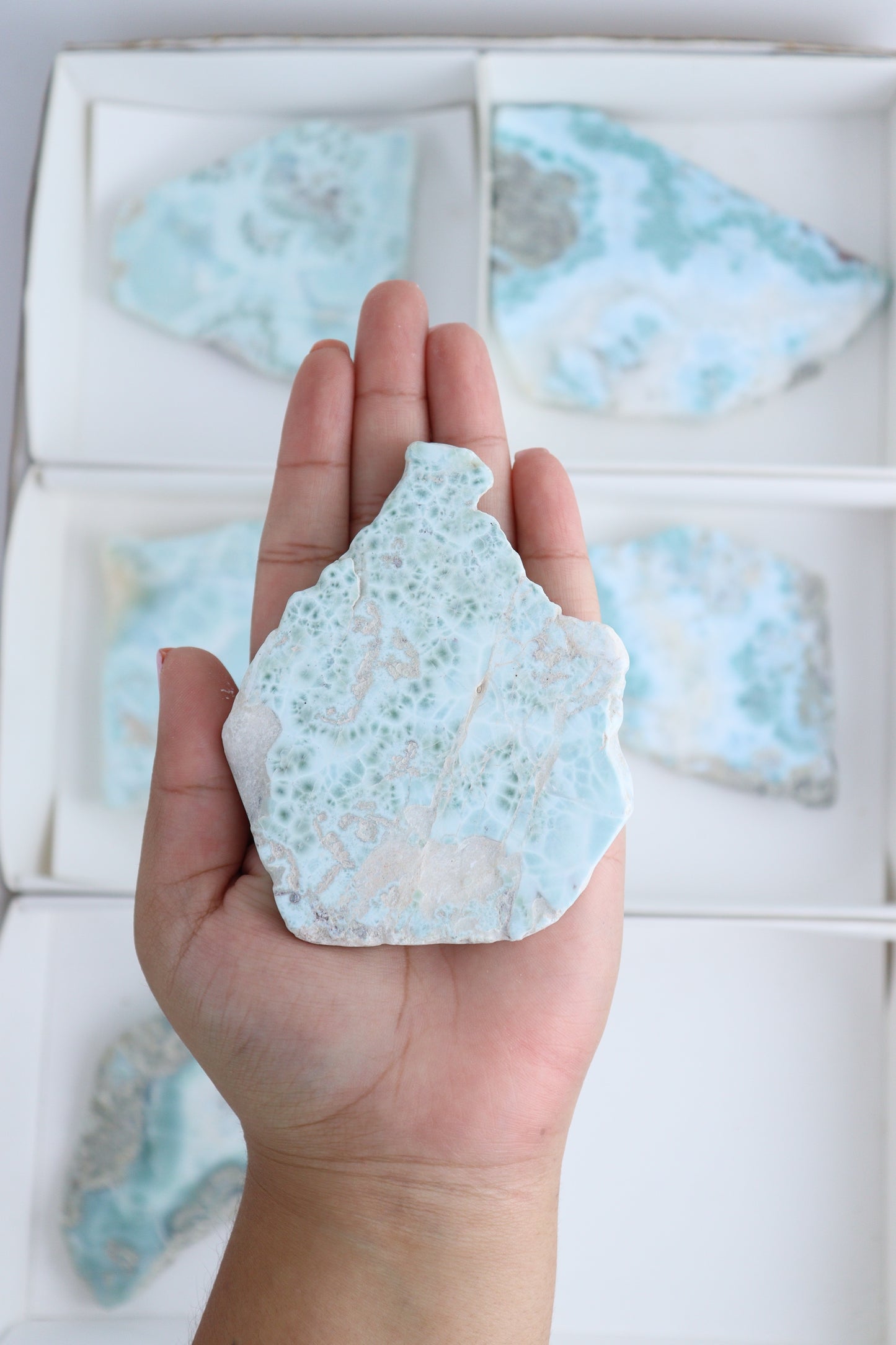 Larimar Set of 6 - Expert Supplier of Wholesale Crystals & Bulk Gemstones