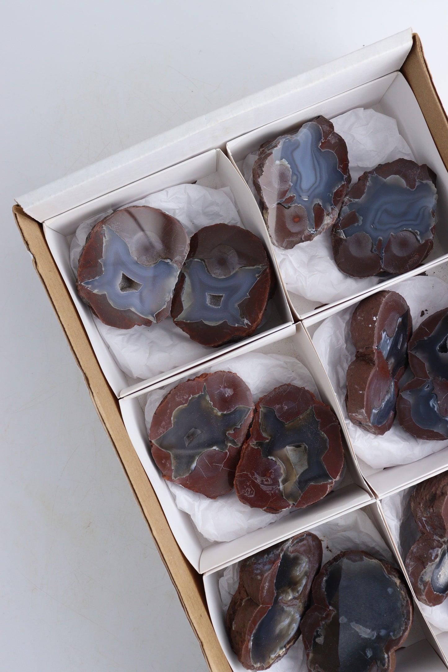 Mexican Cut Geodes Flat - Expert Supplier of Wholesale Crystals & Bulk Gemstones