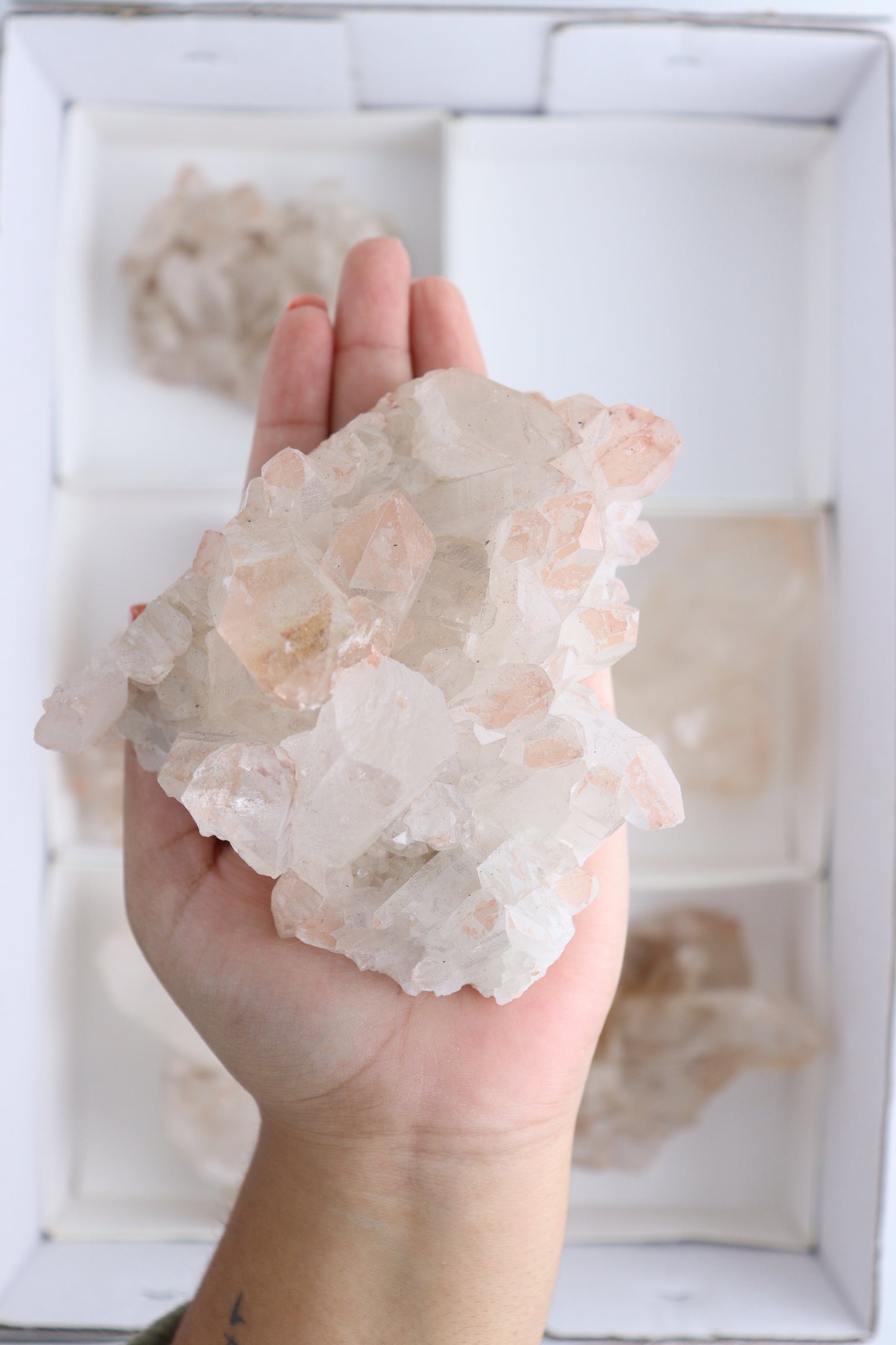 Pink Lemurian - Expert Supplier of Wholesale Crystals & Bulk Gemstones