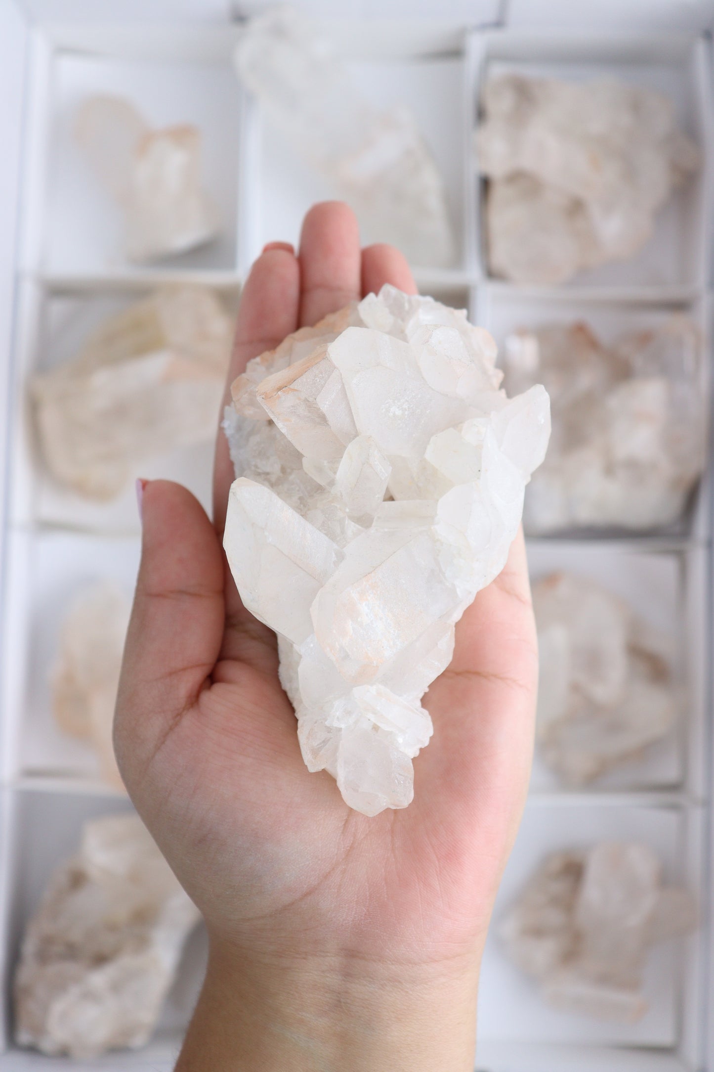 Pink Lemurian Flats - Expert Supplier of Wholesale Crystals & Bulk Gemstones
