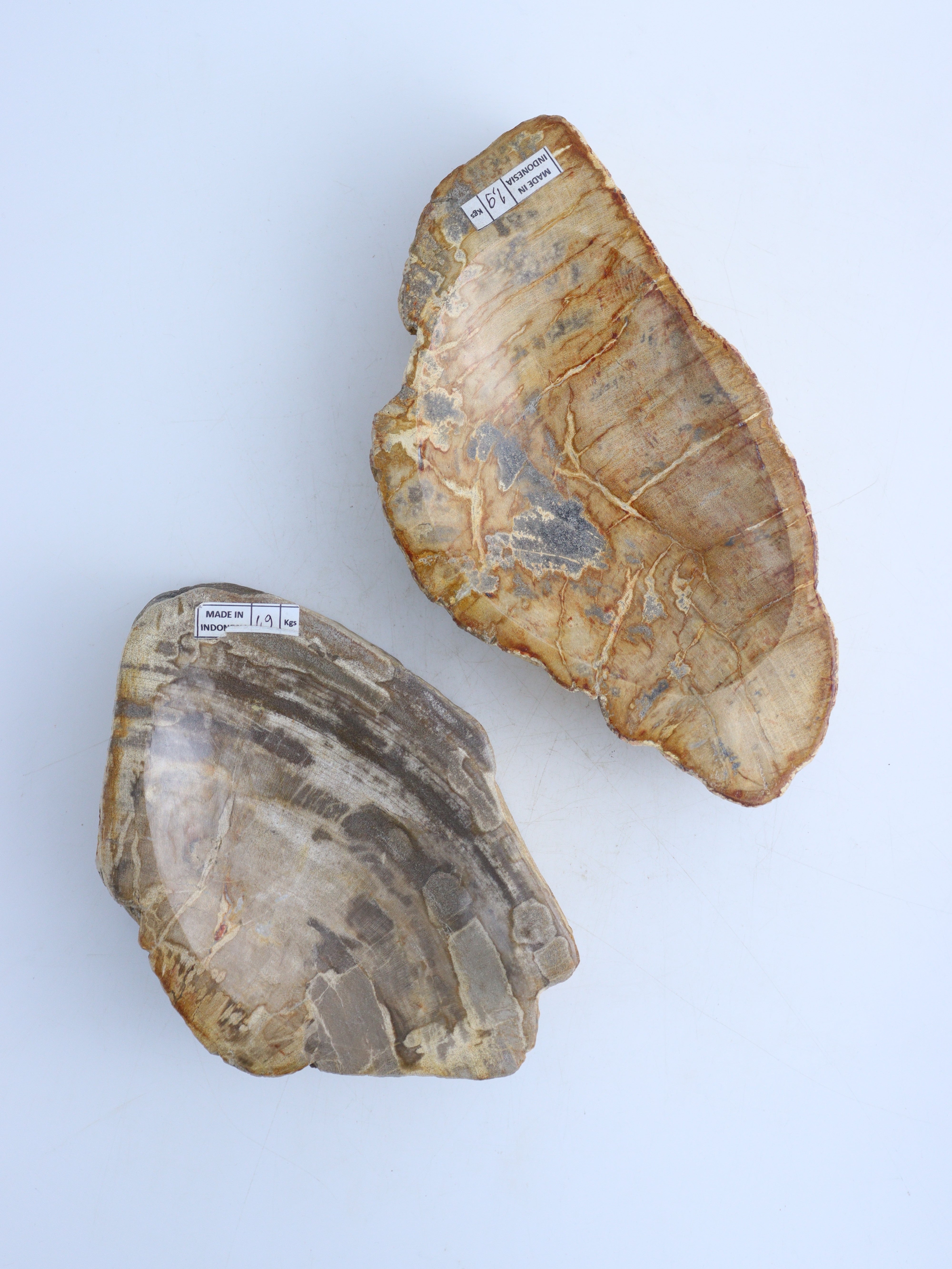 Garden Age Supply Petrified Wood Bowl Set of 2