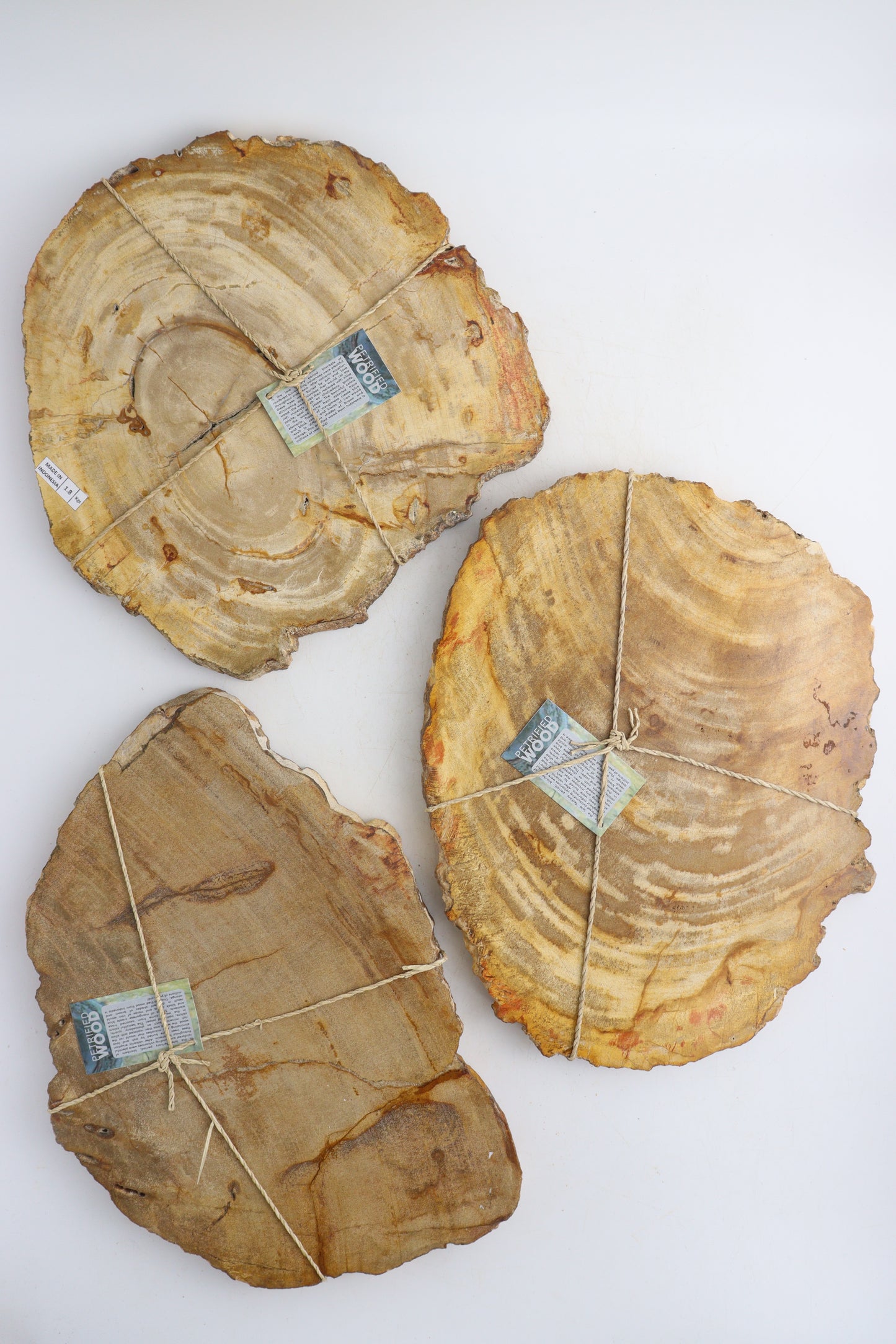 Petrified Wood Slabs - Expert Supplier of Wholesale Crystals & Bulk Gemstones