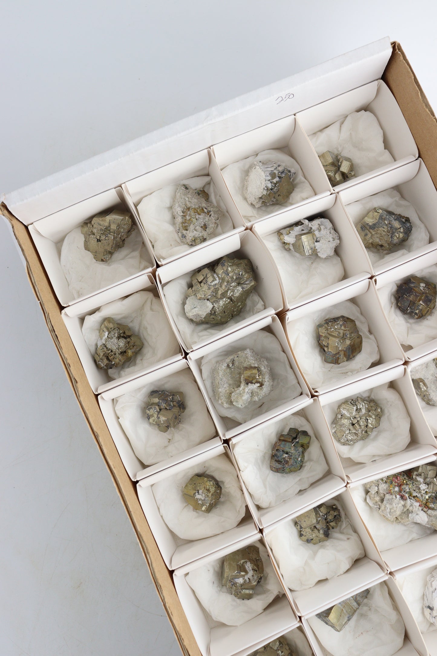 Pyrite Flat - Expert Supplier of Wholesale Crystals & Bulk Gemstones