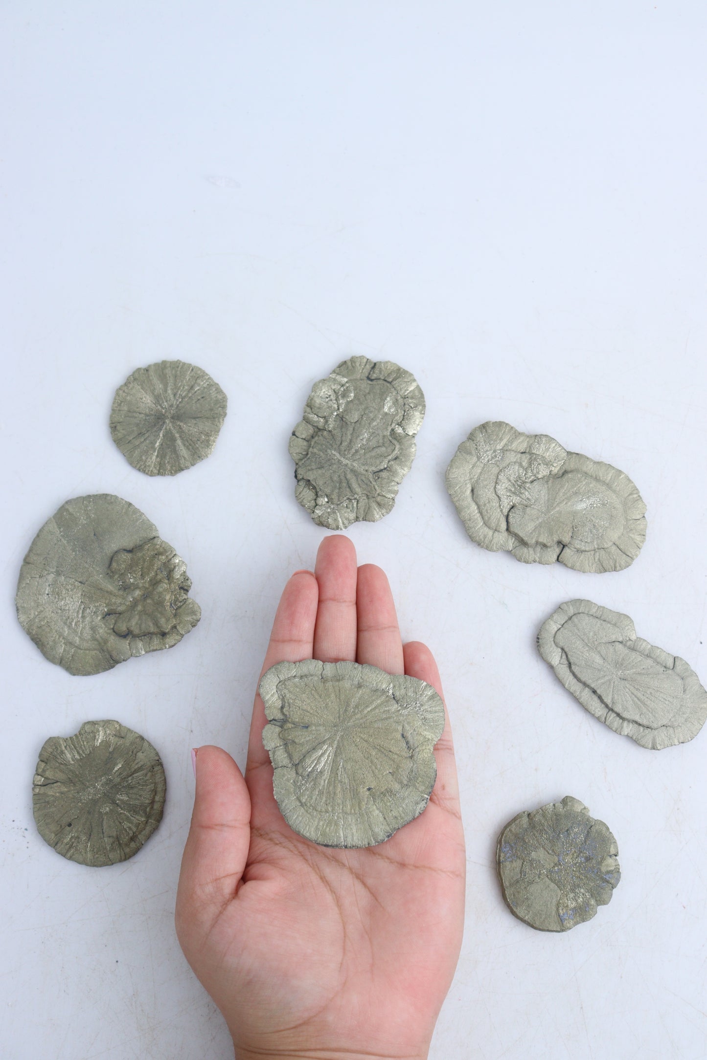Pyrite Suns - Expert Supplier of Wholesale Crystals & Bulk Gemstones