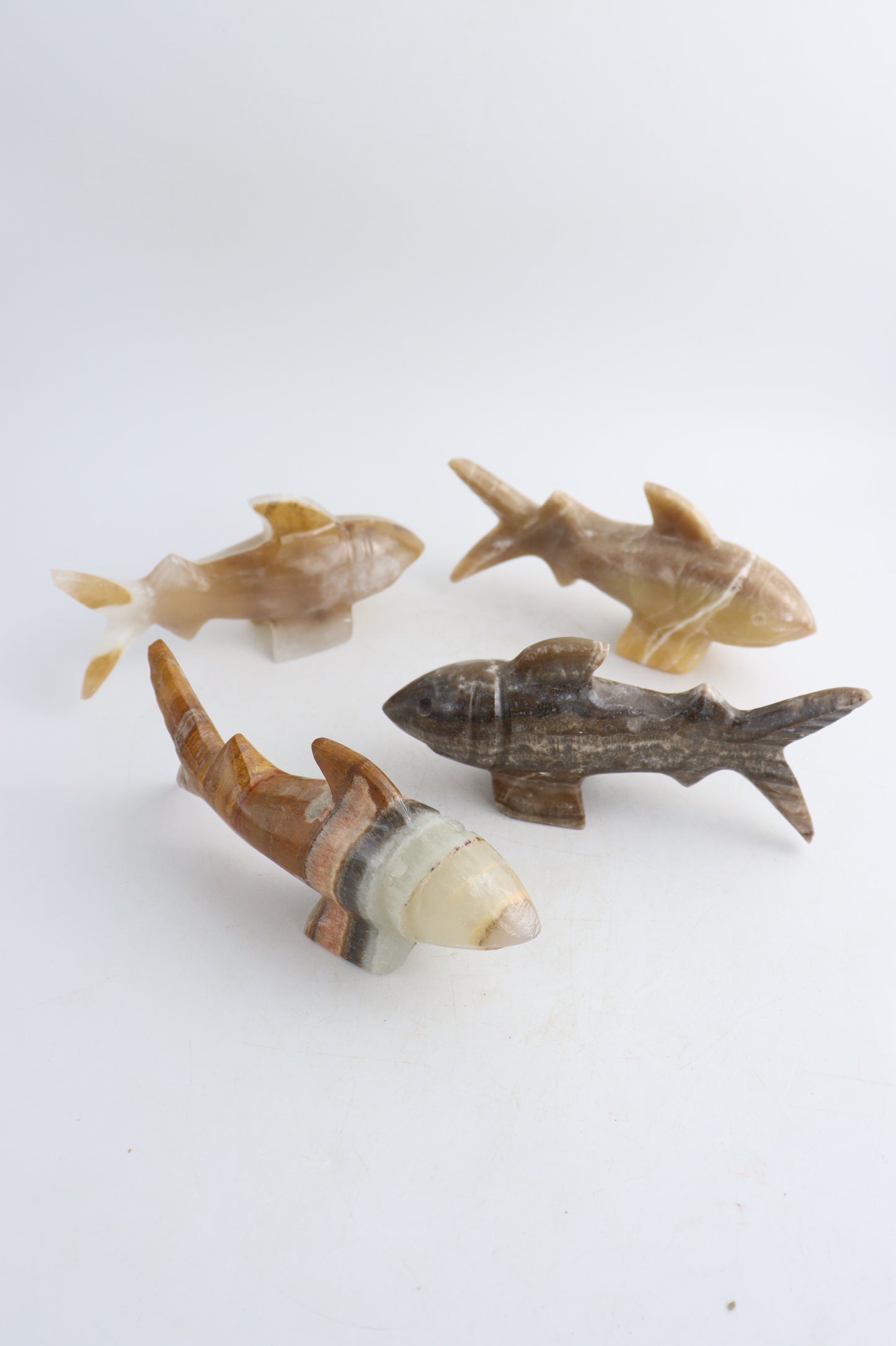 Onyx Shark - Small | Mi Esperanza Minerals | Supplier of Crystals and Onyx