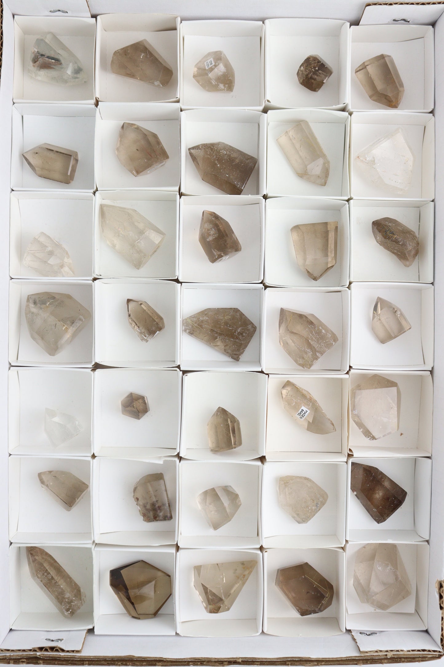 Smoky Quartz Freeforms - Expert Supplier of Wholesale Crystals & Bulk Gemstones