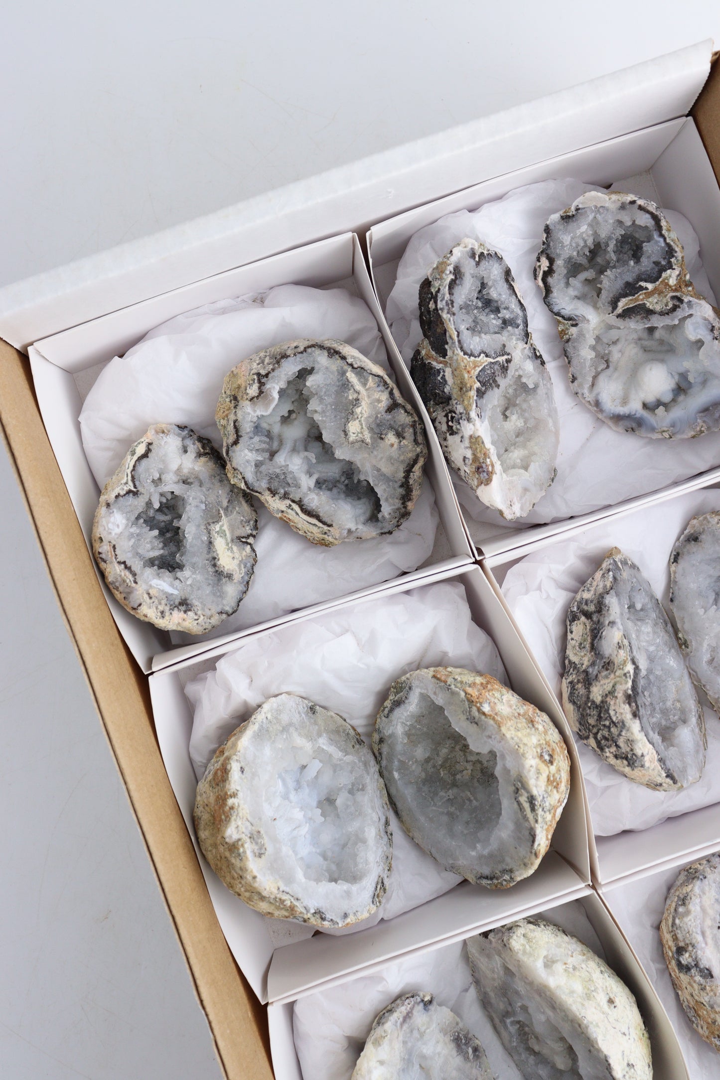 Trancas Geode Flat - Expert Supplier of Wholesale Crystals & Bulk Gemstones