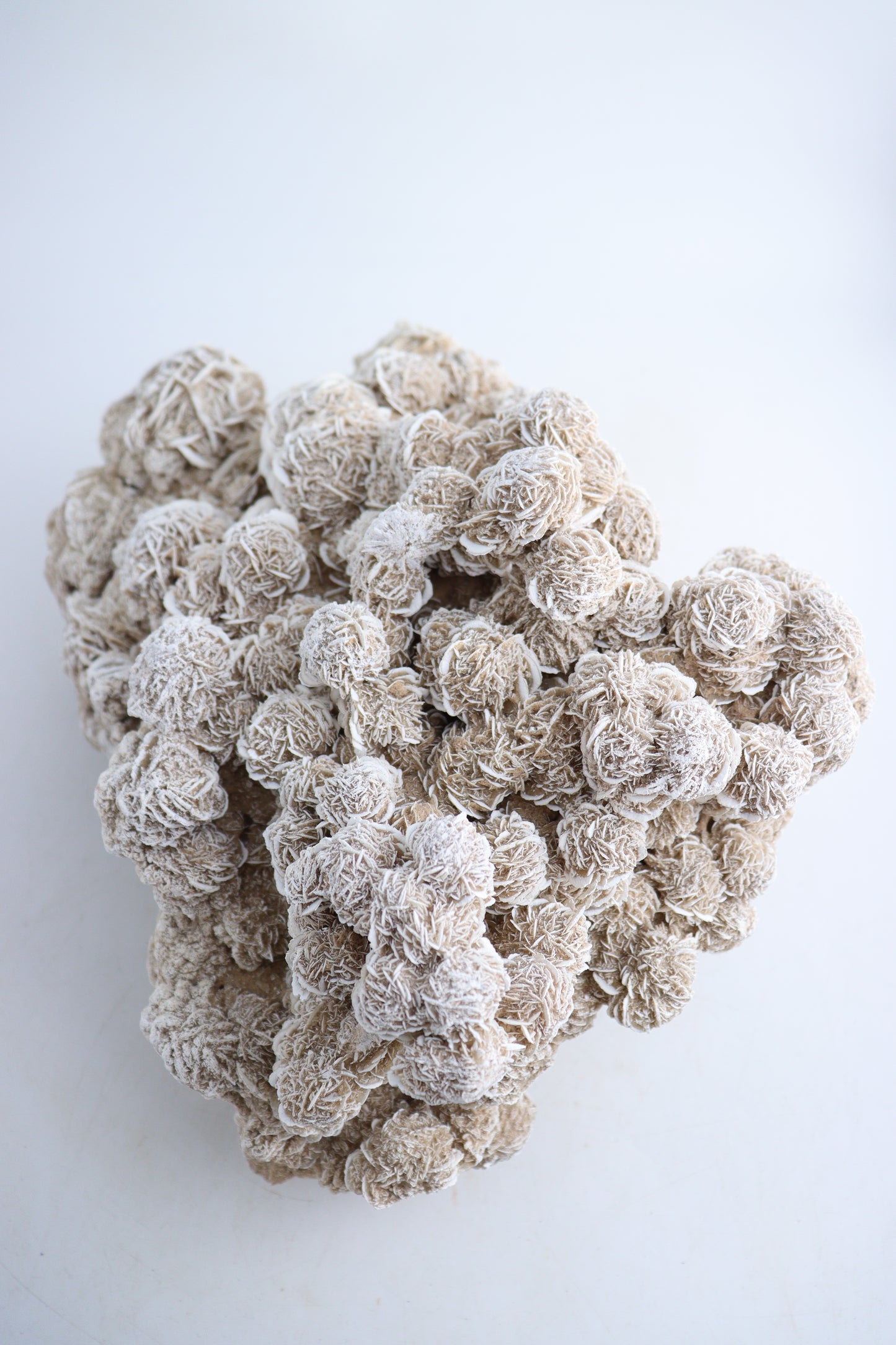 Desert Rose - Expert Supplier of Wholesale Crystals & Bulk Gemstones