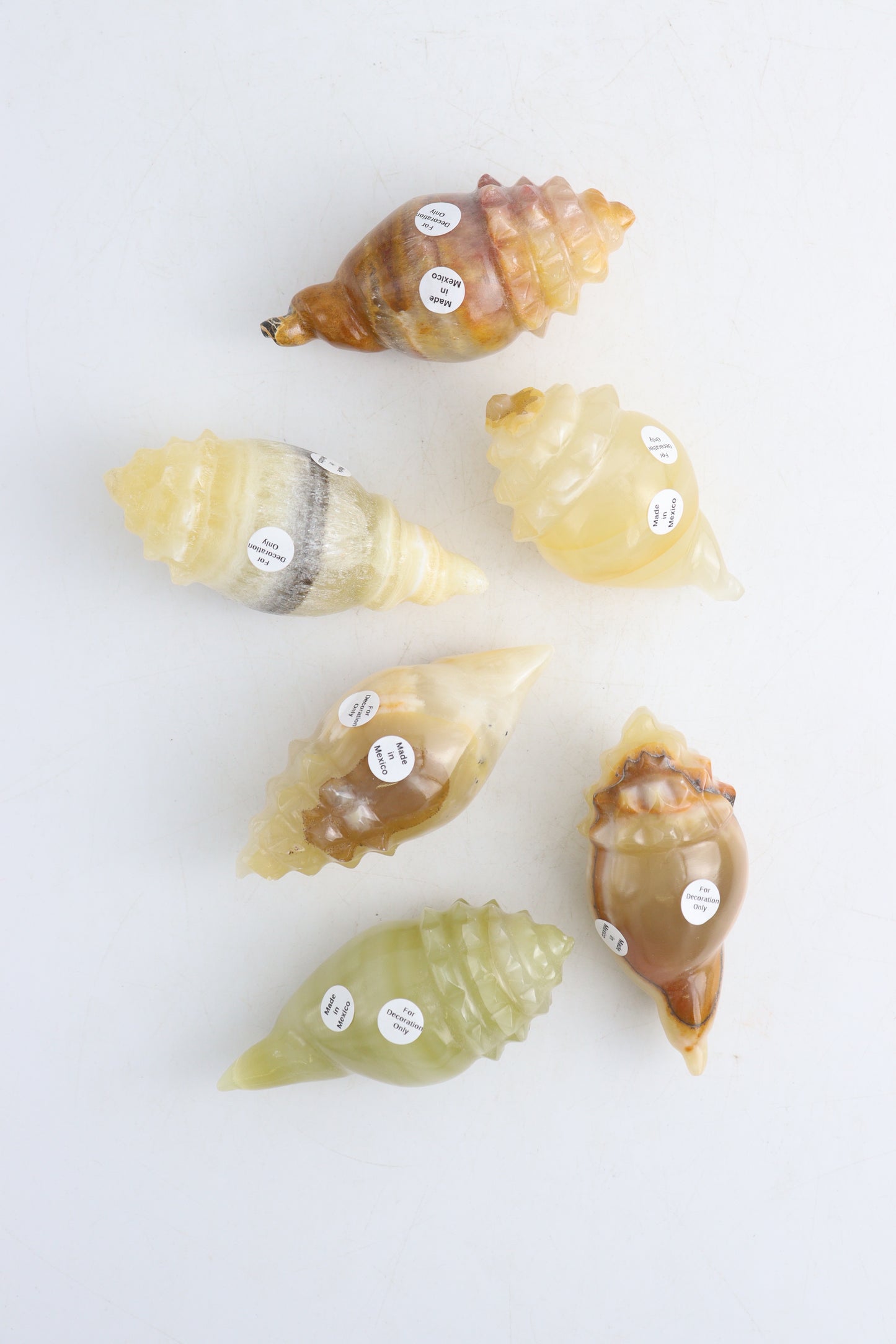 Onyx Shells - Expert Supplier of Wholesale Crystals & Bulk Gemstones
