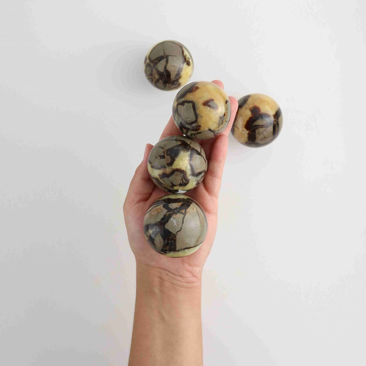Killogram Sphere 1 Kg Septarian Spheres | Wholesale Crystals Vendor – Mi Esperanza Minerals