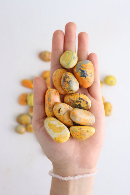 1 Kg Bumblebee Jasper Tumbles