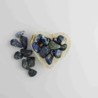 1LB Sodalite Tumble - Expert Vendor of Wholesale Crystals