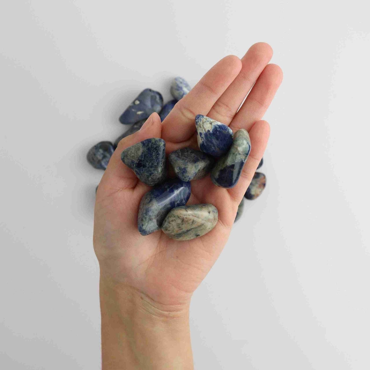 1LB Sodalite Tumble - Expert Vendor of Wholesale Crystals