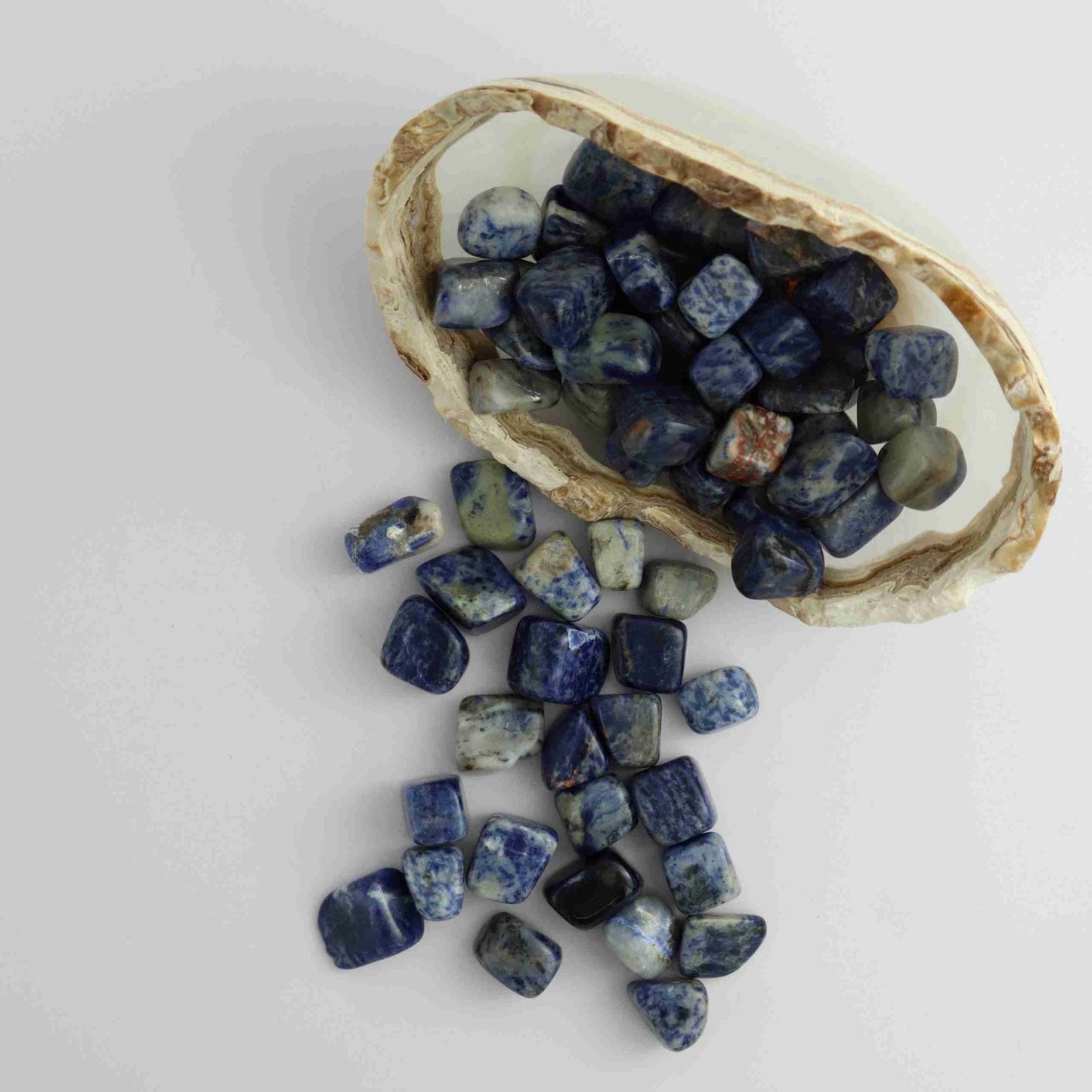 1kg Sodalite Tumbles - Expert Vendor of Wholesale Crystals