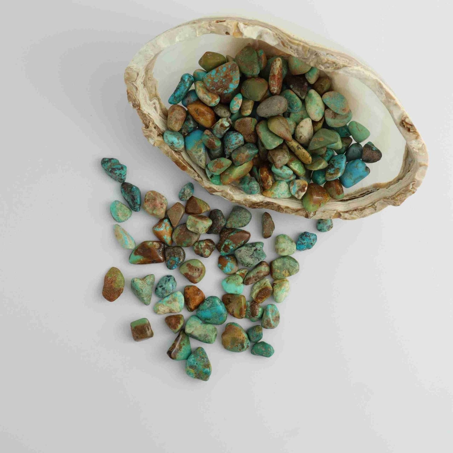 1kg Turquoise Tumbles - Expert Supplier of Wholesale Crystals & Bulk Gemstones