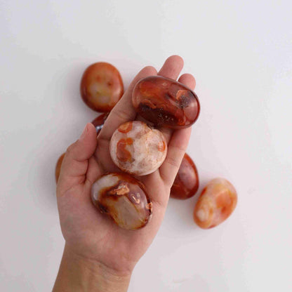 1kg Carnelian Palm Stones - Expert Supplier of Wholesale Crystals & Bulk Gemstones