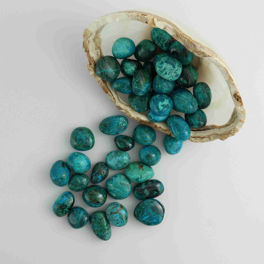 1kg Chrysocolla Tumbles - Expert Vendor of Wholesale Crystals