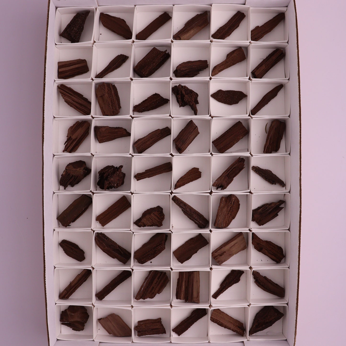 Permineralized Wood from Germany, 54pc flat - Expert Wholesale and Supplier of Wholesale Crystals & Bulk Gemstones, ["Fossil","Germany","Petrified Wood"]