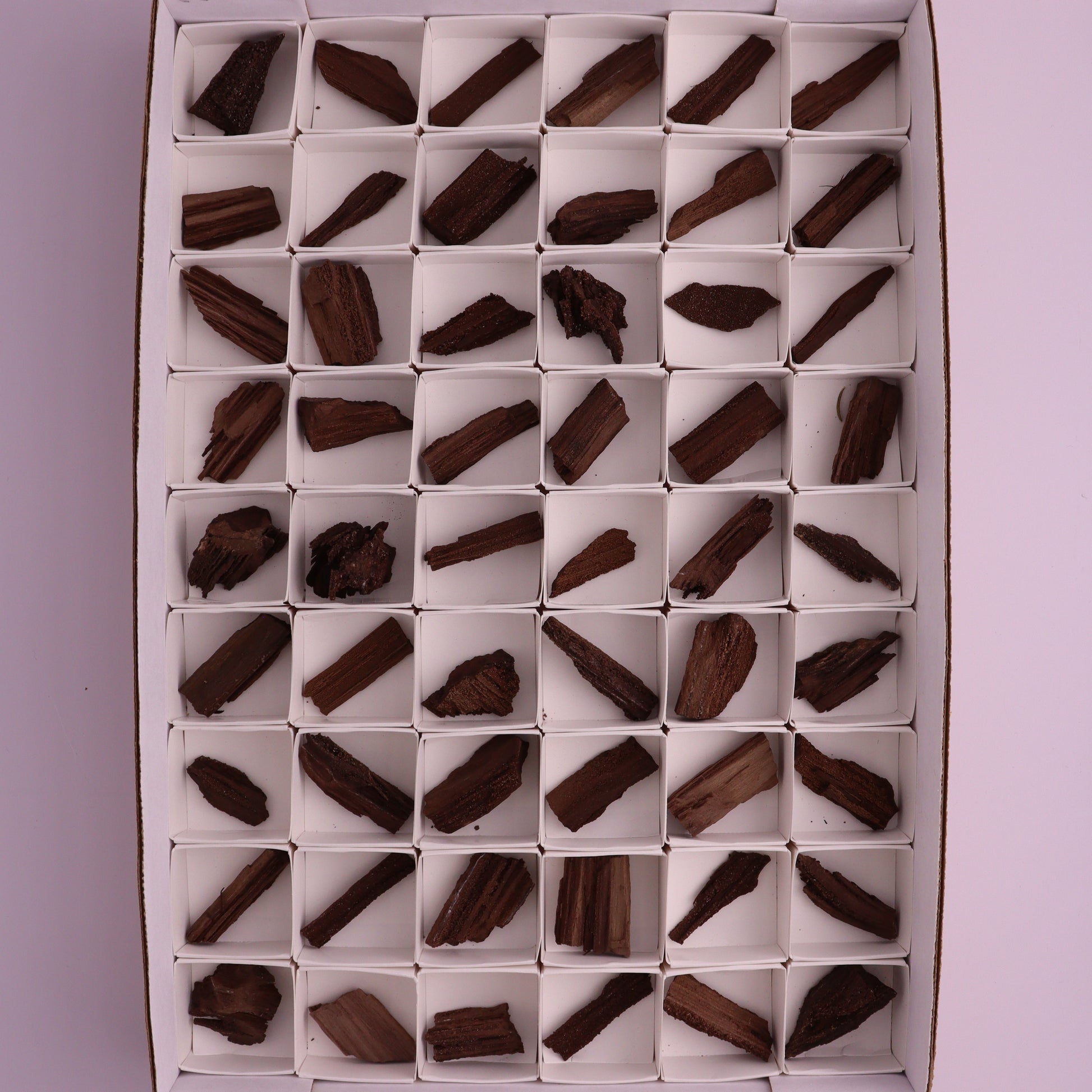 Permineralized Wood from Germany, 54pc flat - Expert Wholesale and Supplier of Wholesale Crystals & Bulk Gemstones, ["Fossil","Germany","Petrified Wood"]