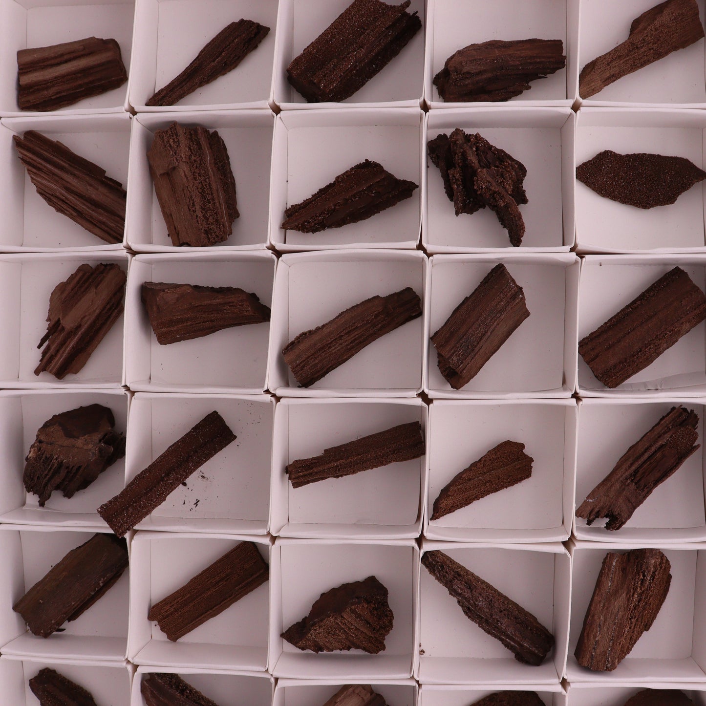 Permineralized Wood from Germany, 54pc flat - Expert Wholesale and Supplier of Wholesale Crystals & Bulk Gemstones, ["Fossil","Germany","Petrified Wood"]