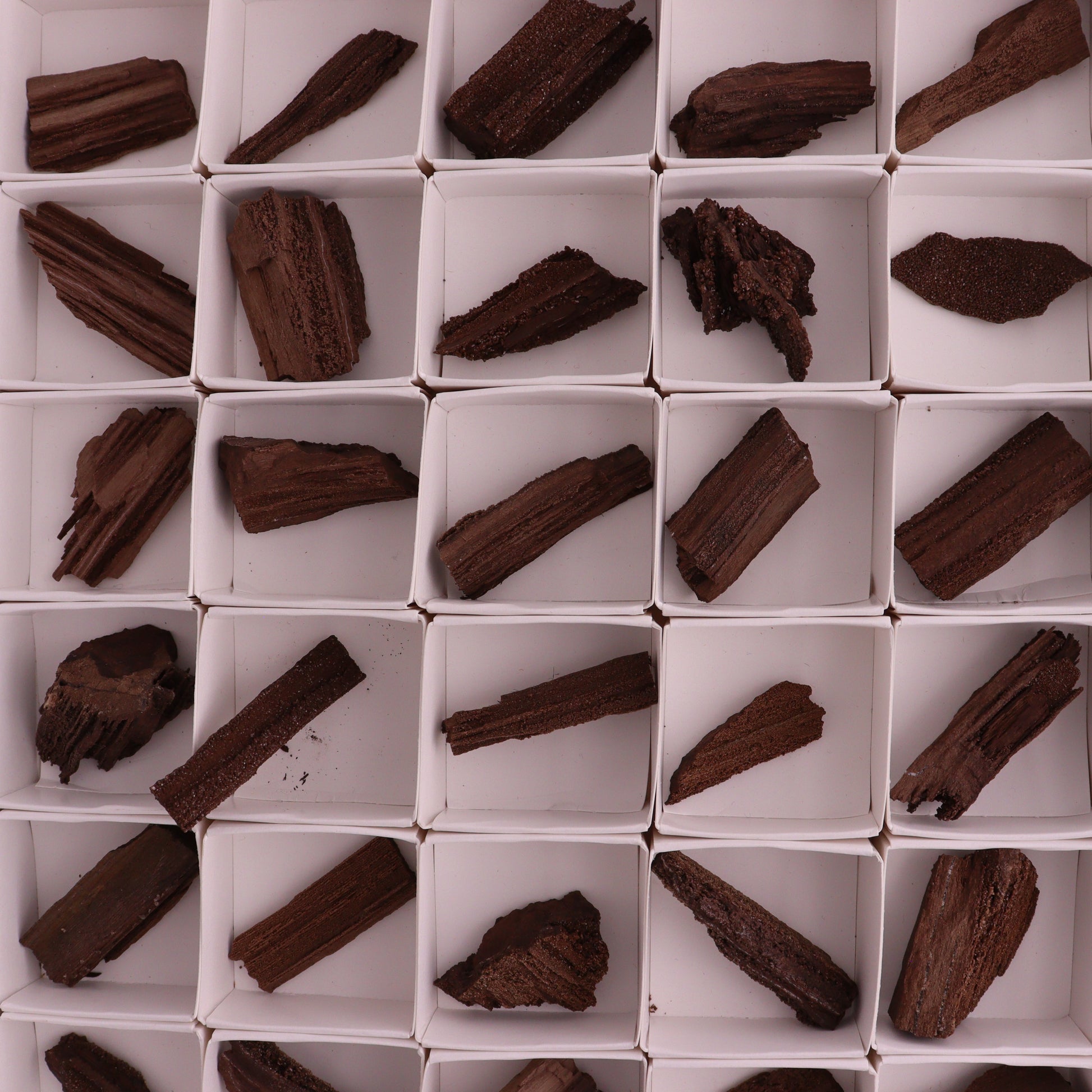 Permineralized Wood from Germany, 54pc flat - Expert Wholesale and Supplier of Wholesale Crystals & Bulk Gemstones, ["Fossil","Germany","Petrified Wood"]