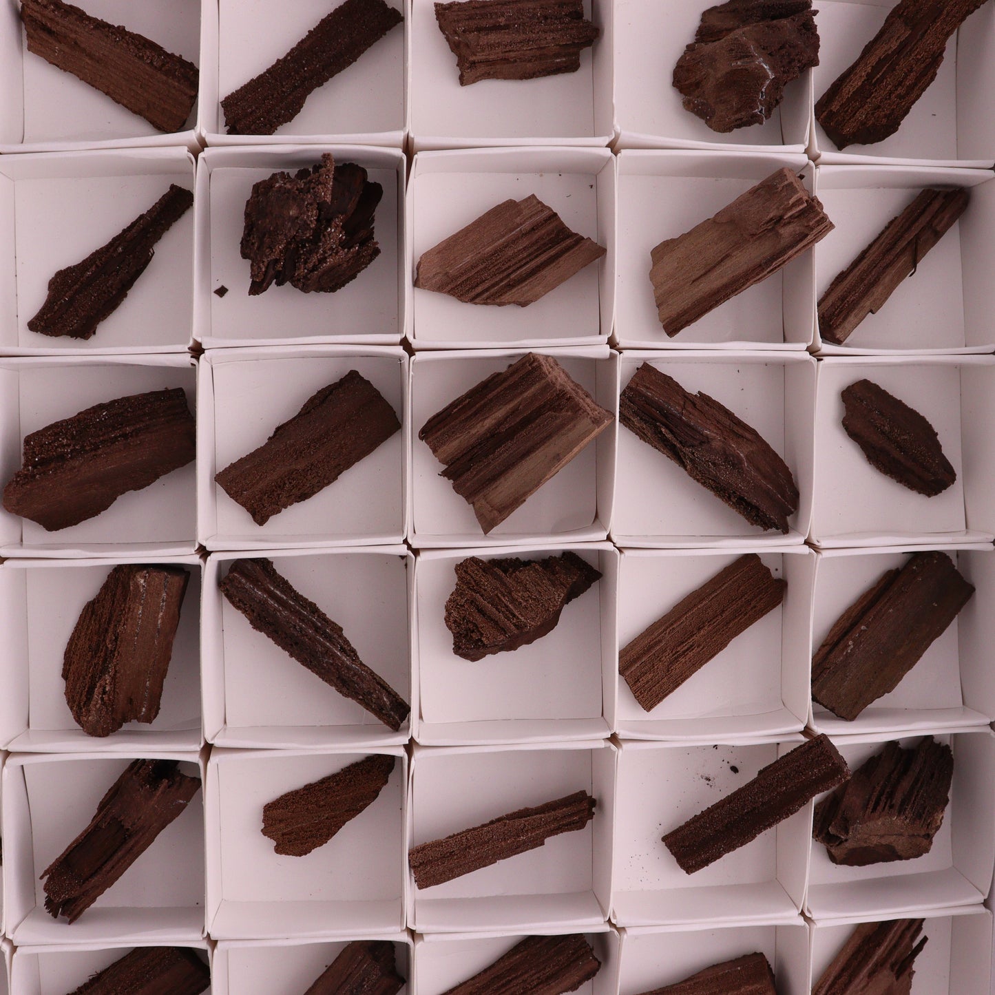 Permineralized Wood from Germany, 54pc flat - Expert Wholesale and Supplier of Wholesale Crystals & Bulk Gemstones, ["Fossil","Germany","Petrified Wood"]