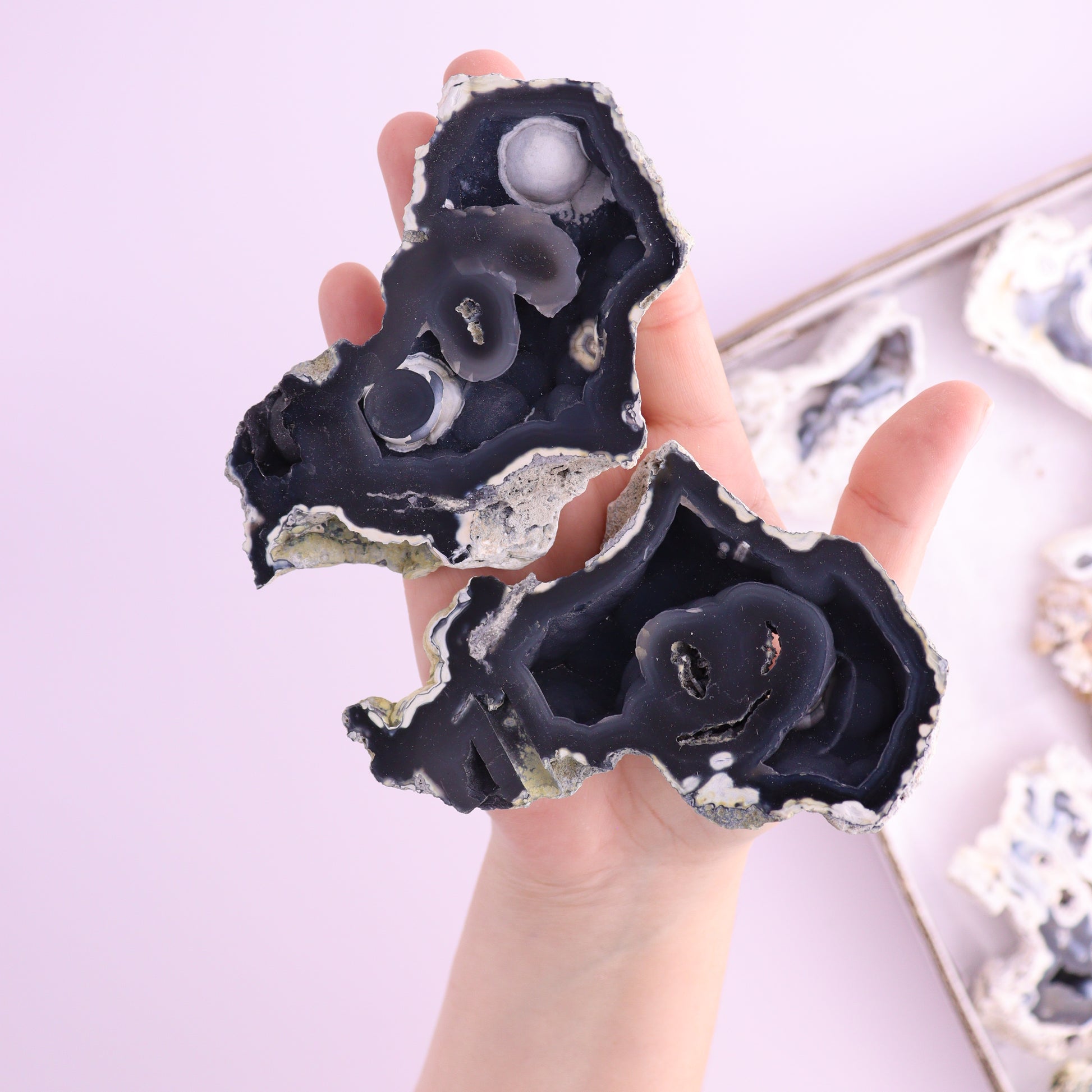 Agatized Coral Flat from Florida - Expert Wholesale and Supplier of Wholesale Crystals & Bulk Gemstones, ["Agatized Coral","Coral","Florida"]