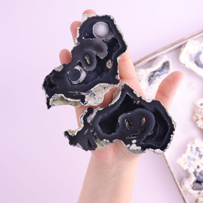 Agatized Coral Flat from Florida - Expert Wholesale and Supplier of Wholesale Crystals & Bulk Gemstones, ["Agatized Coral","Coral","Florida"]