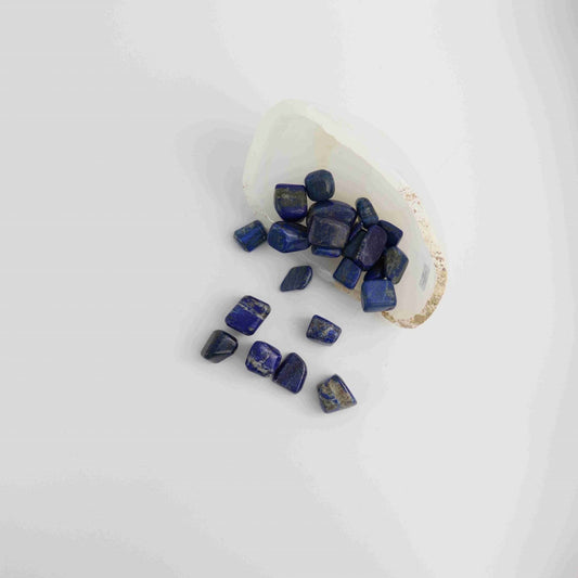 500g Lapis Lazuli Tumbles - Expert Vendor of Wholesale Crystals