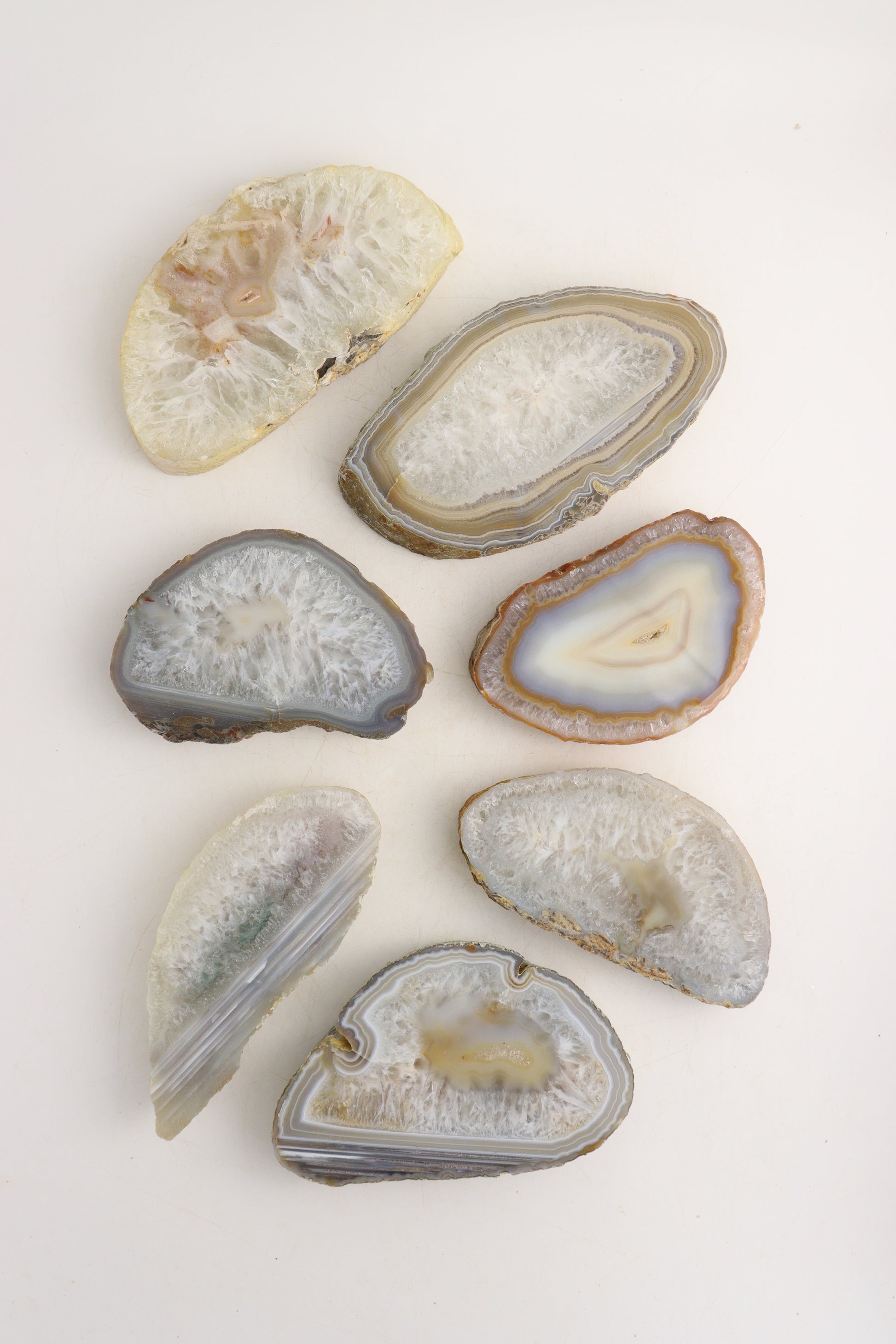 Agate Slices - Mi Esperanza Minerals