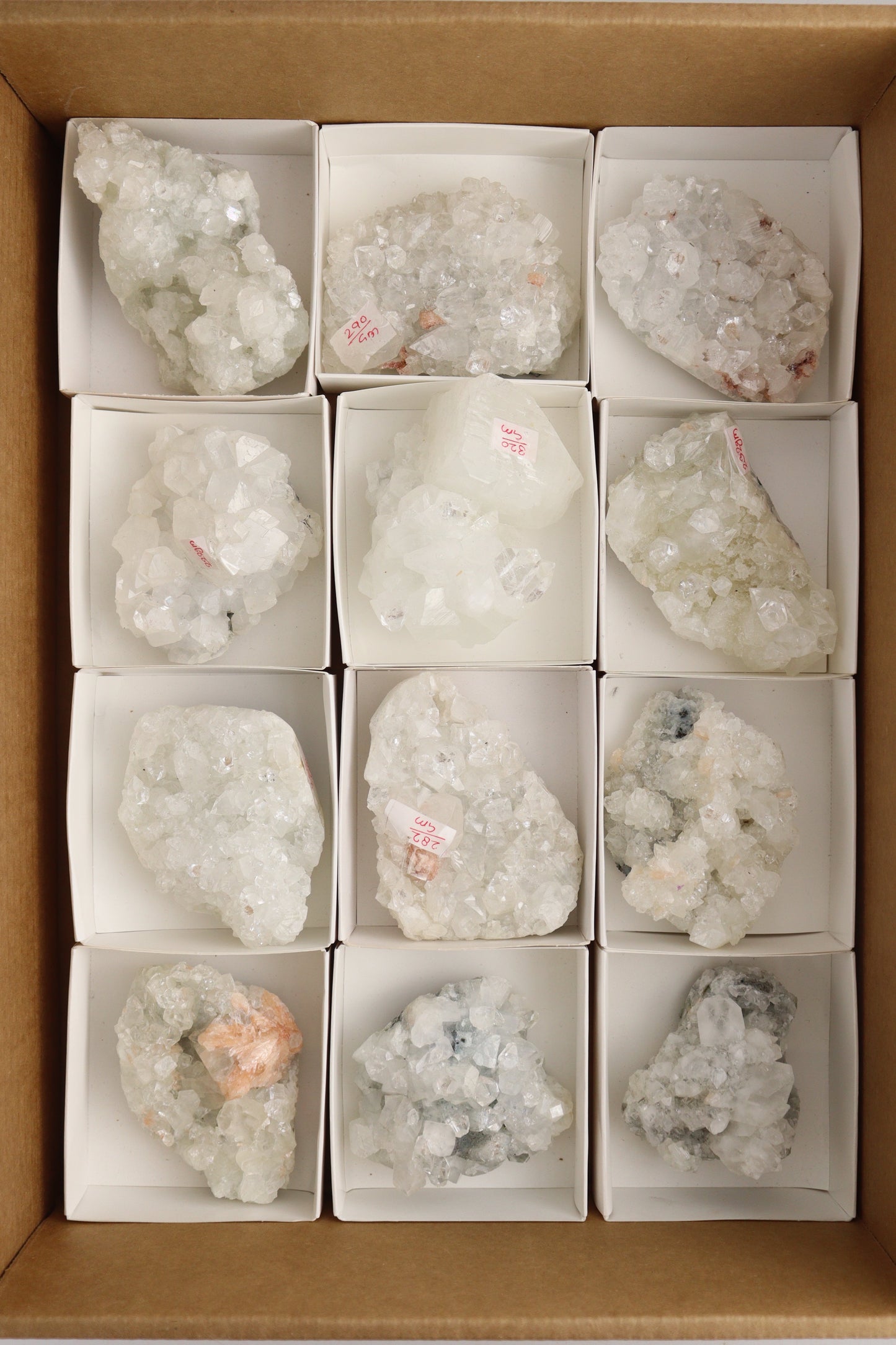 Apophyllite Cluster Flat - Expert Supplier of Wholesale Crystals & Bulk Gemstones