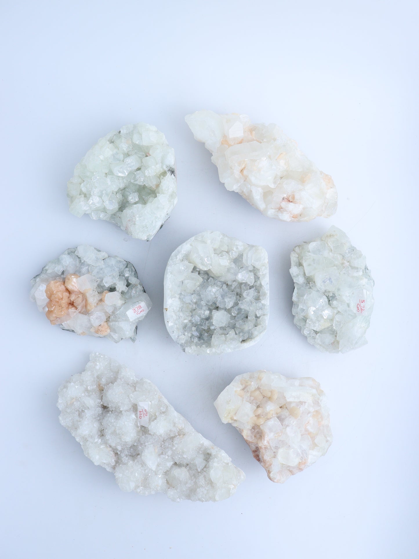 Apophyllite Cluster Flat - Expert Wholesale and Supplier of Wholesale Crystals & Bulk Gemstones, ["Apophyllite","Clusters","Flats"]