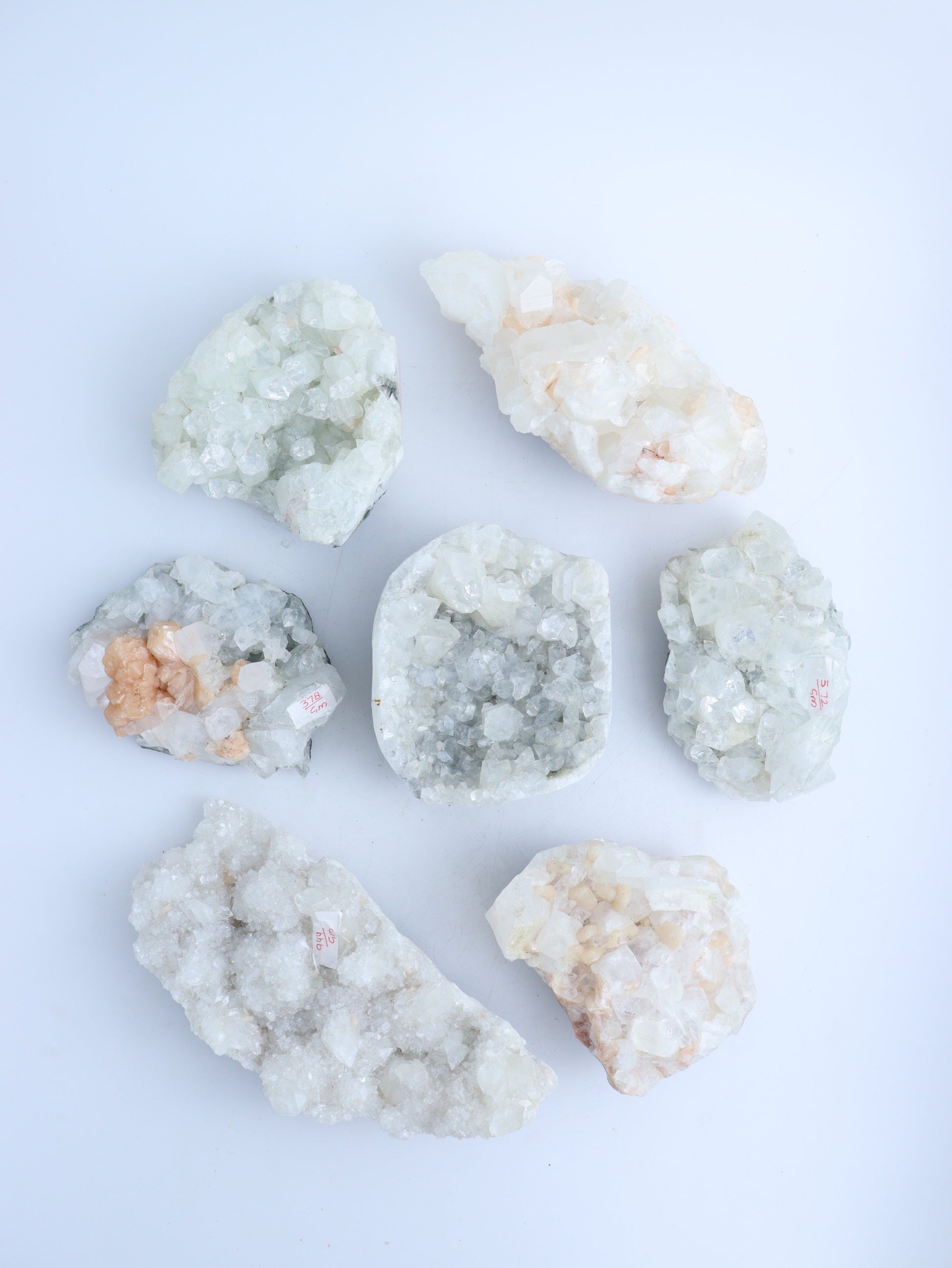 Apophyllite Cluster Flat - Expert Wholesale and Supplier of Wholesale Crystals & Bulk Gemstones, ["Apophyllite","Clusters","Flats"]