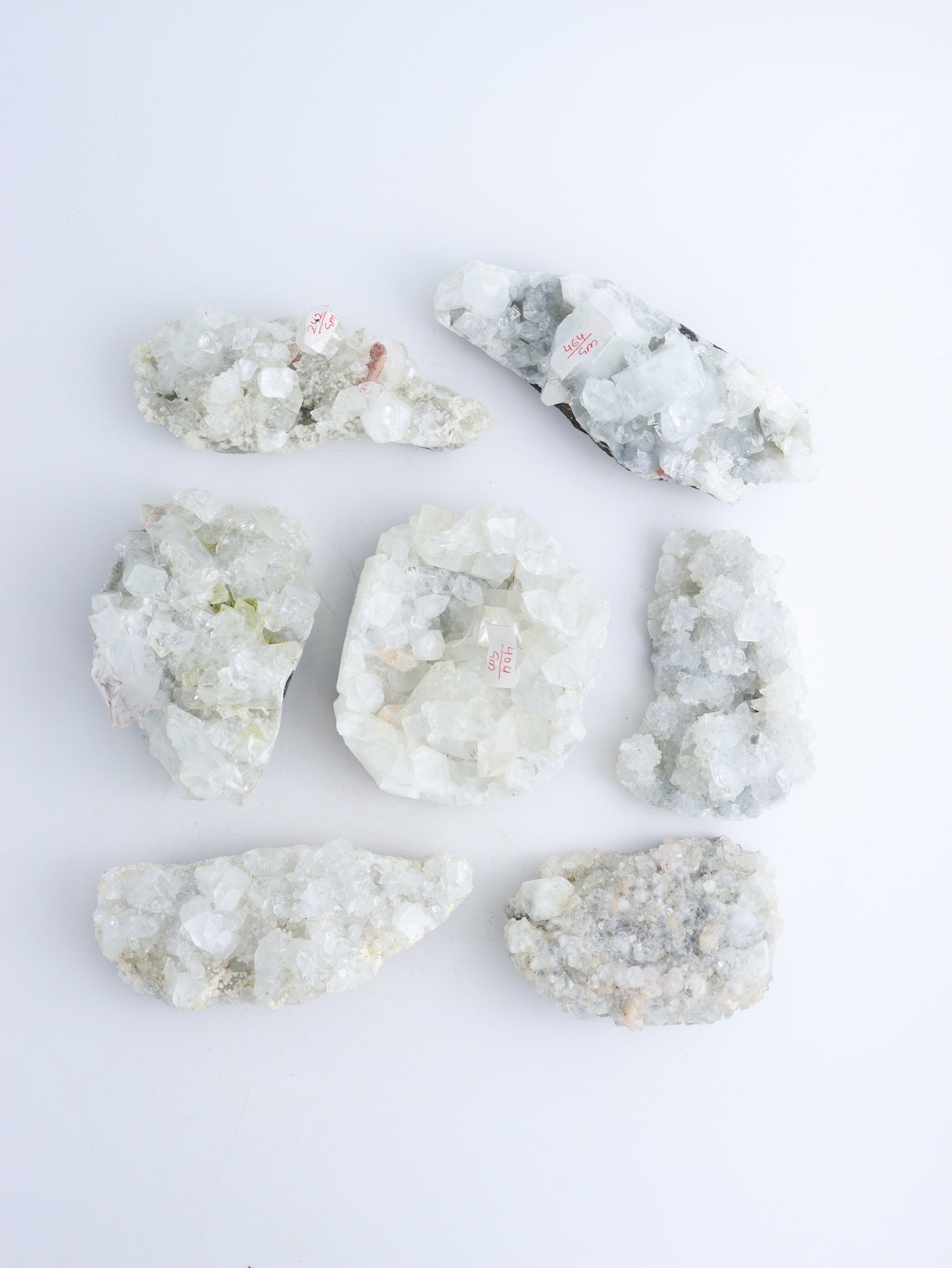 Apophyllite Clusters Flat - Expert Wholesale and Supplier of Wholesale Crystals & Bulk Gemstones, ["Apophyllite","Clusters","Flats"]