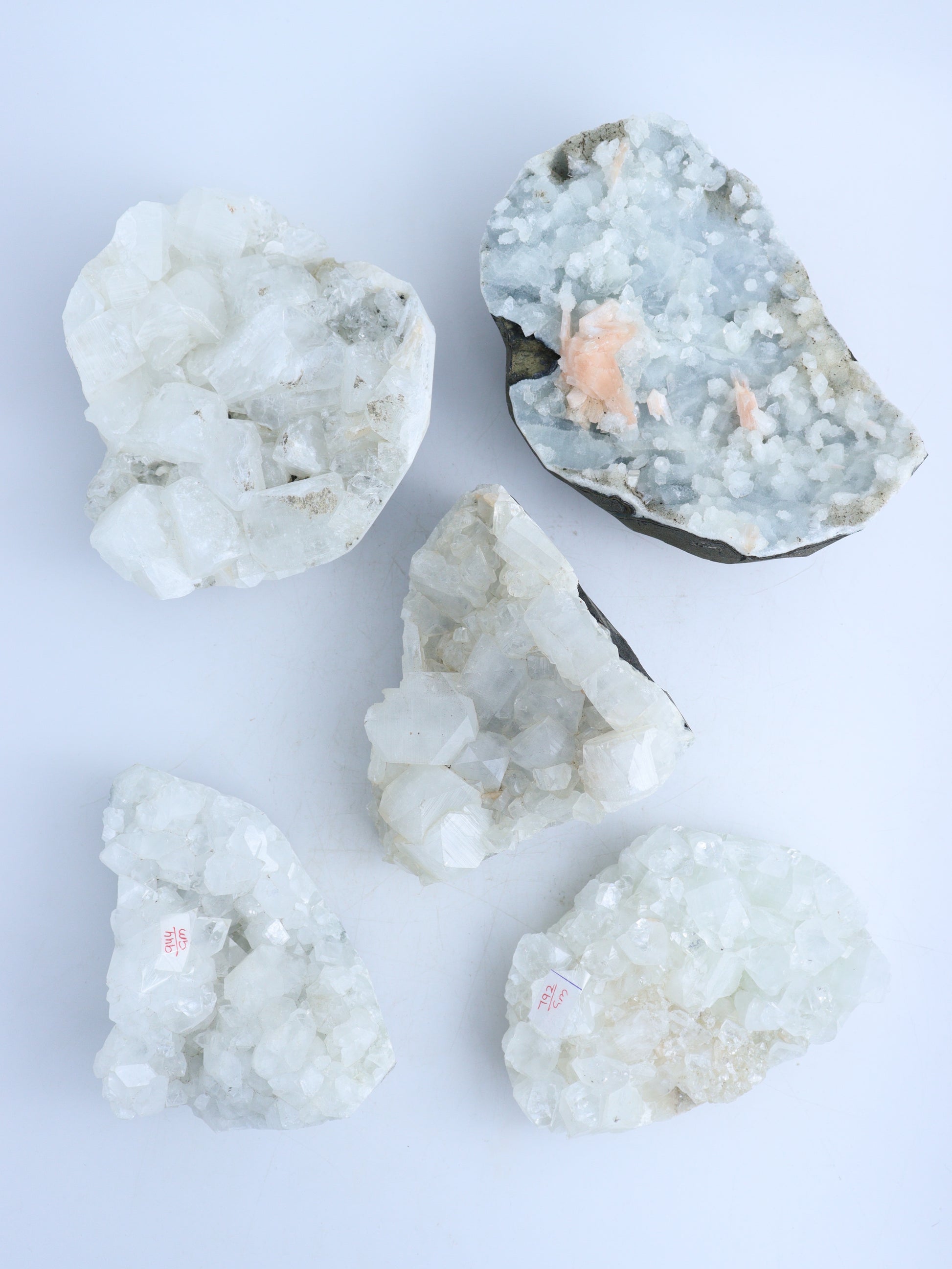 Apophyllite Clusters - Mi Esperanza Minerals